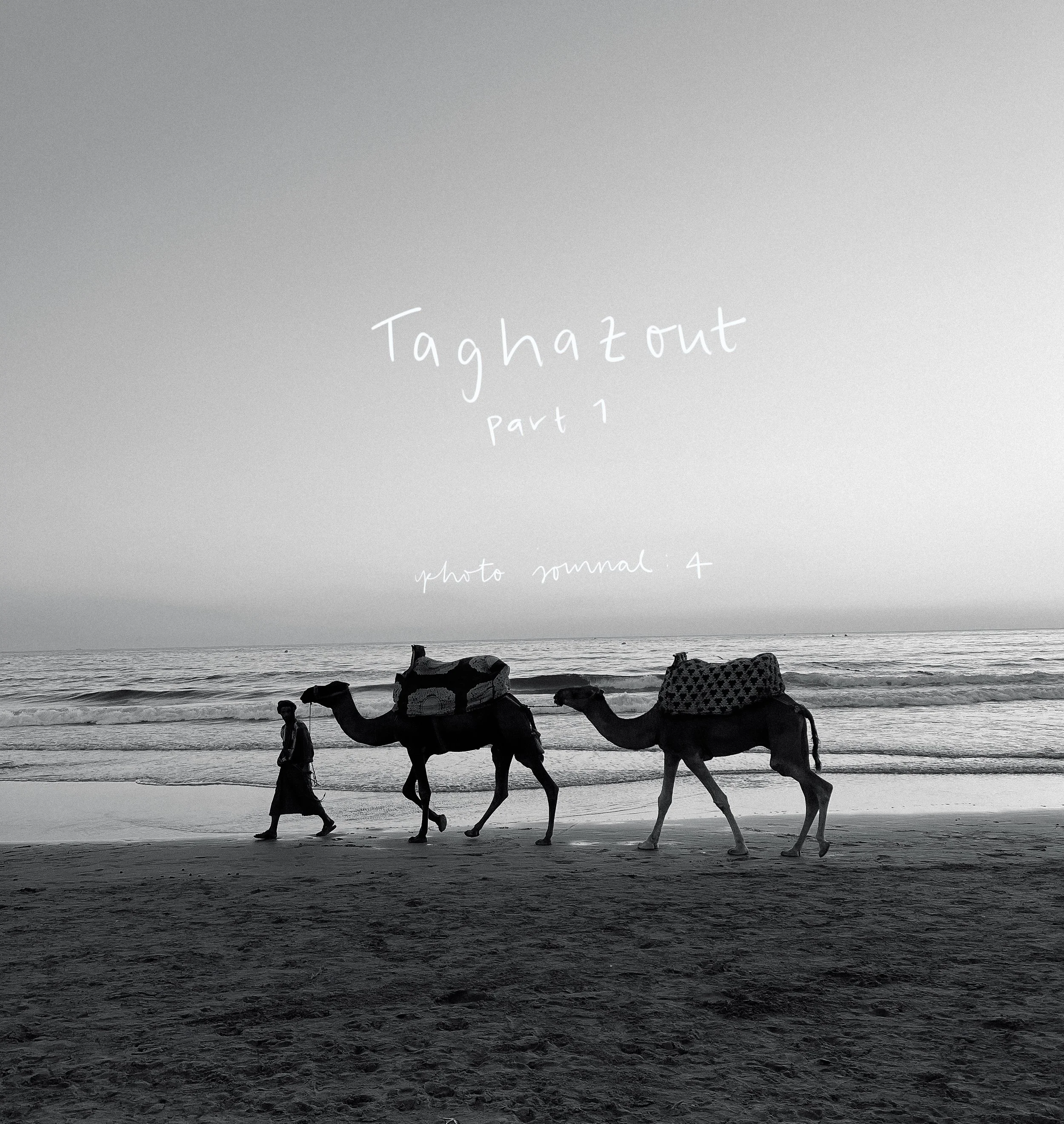 Taghazout Pt. 1: Photo Journal 4