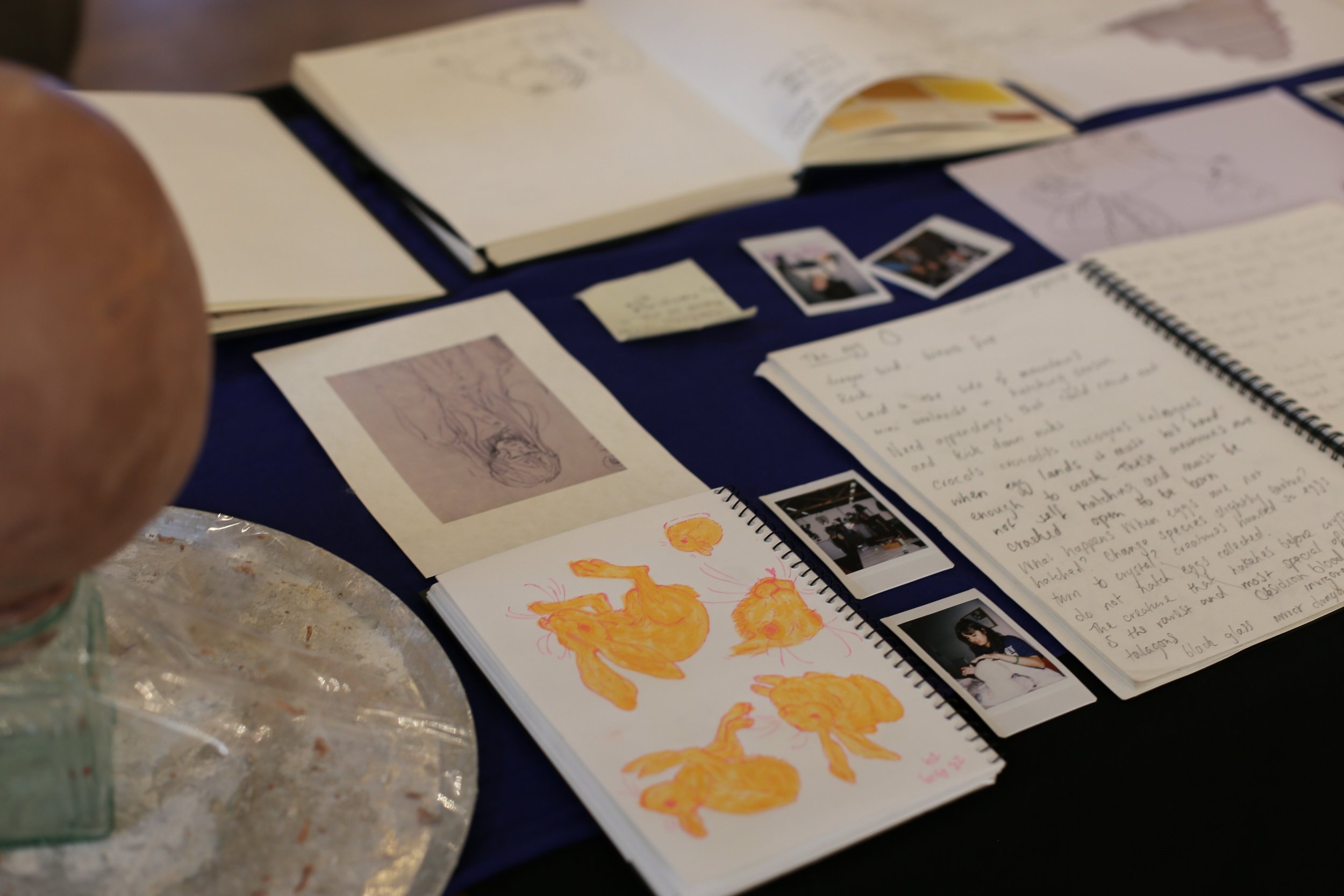 A table with open notebooks, photographs, and sketches. One notebook displays handwritten notes, another has orange animal sketches, and smaller photos are arranged nearby. A person's arm and a plastic water bottle are partially visible.