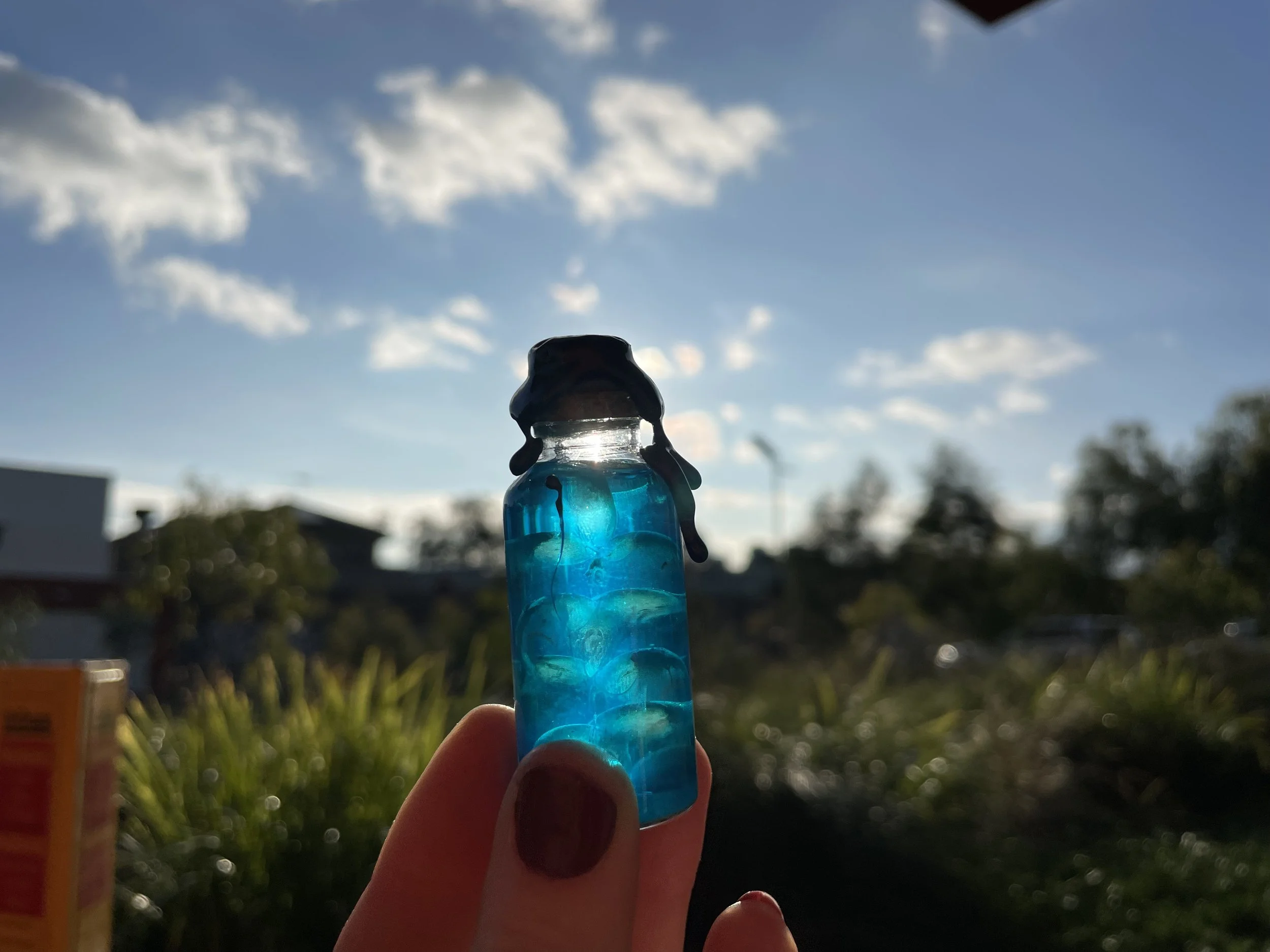 Person holding a small blue glass bottle outdoors against a cloudy sky and blurred background of houses and trees.
