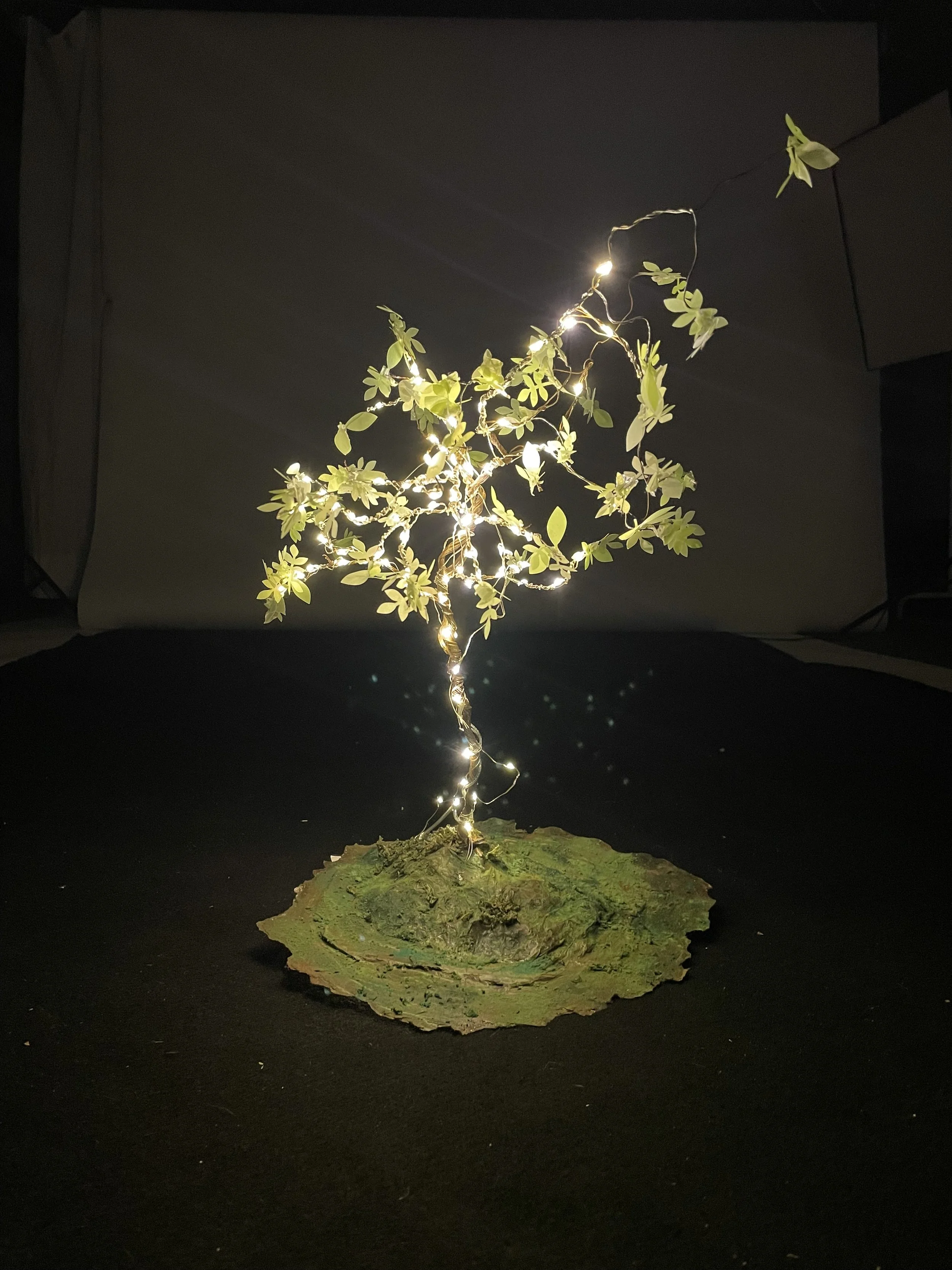 A small decorative tree with green leaves and white string lights wrapped around its branches, placed on a piece of bark or wood against a dark background.