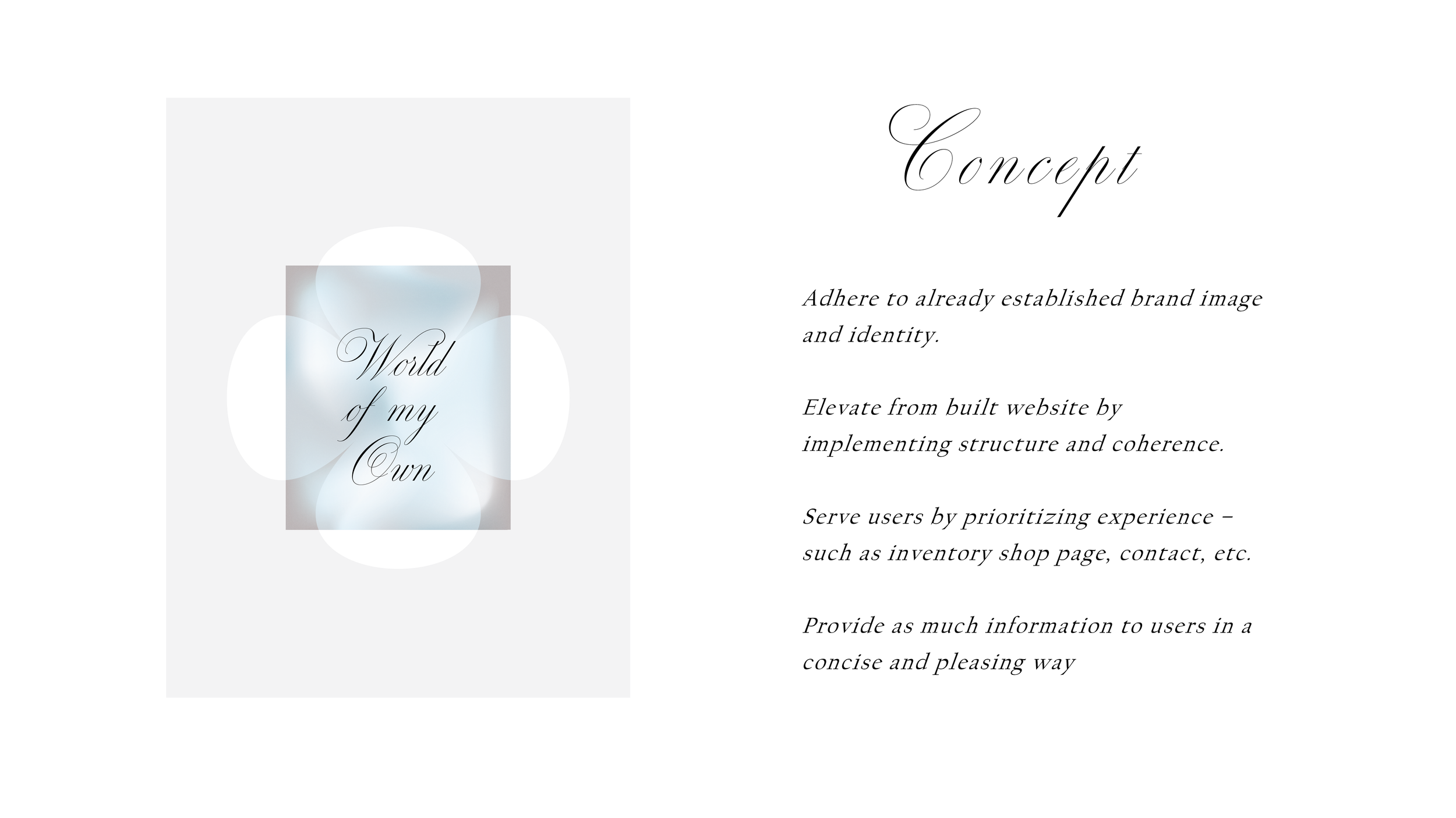 website pitch deck portfolio2.png