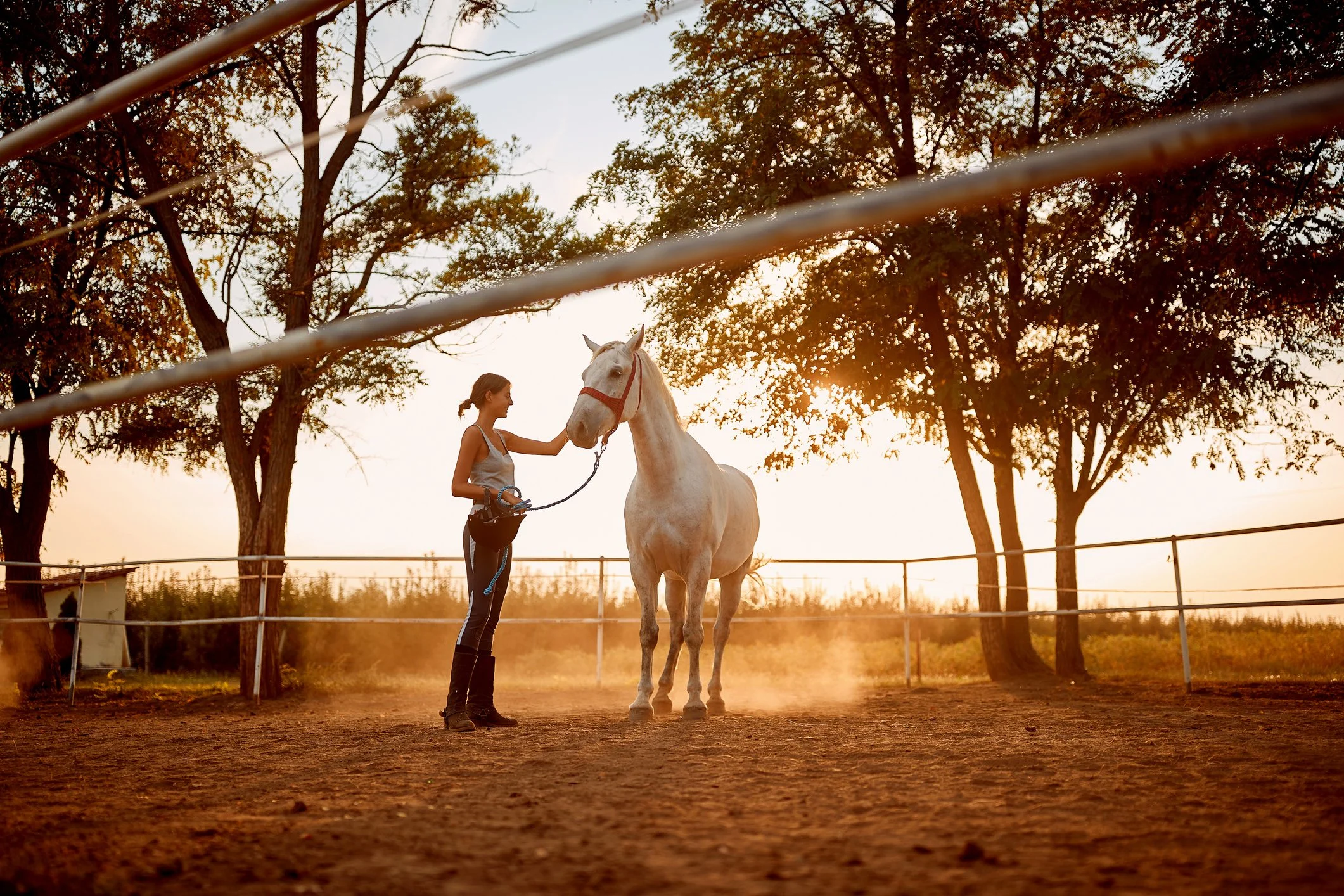 A woman with a white horse standing in a fenced outdoor riding arena during sunset, with trees in the background.