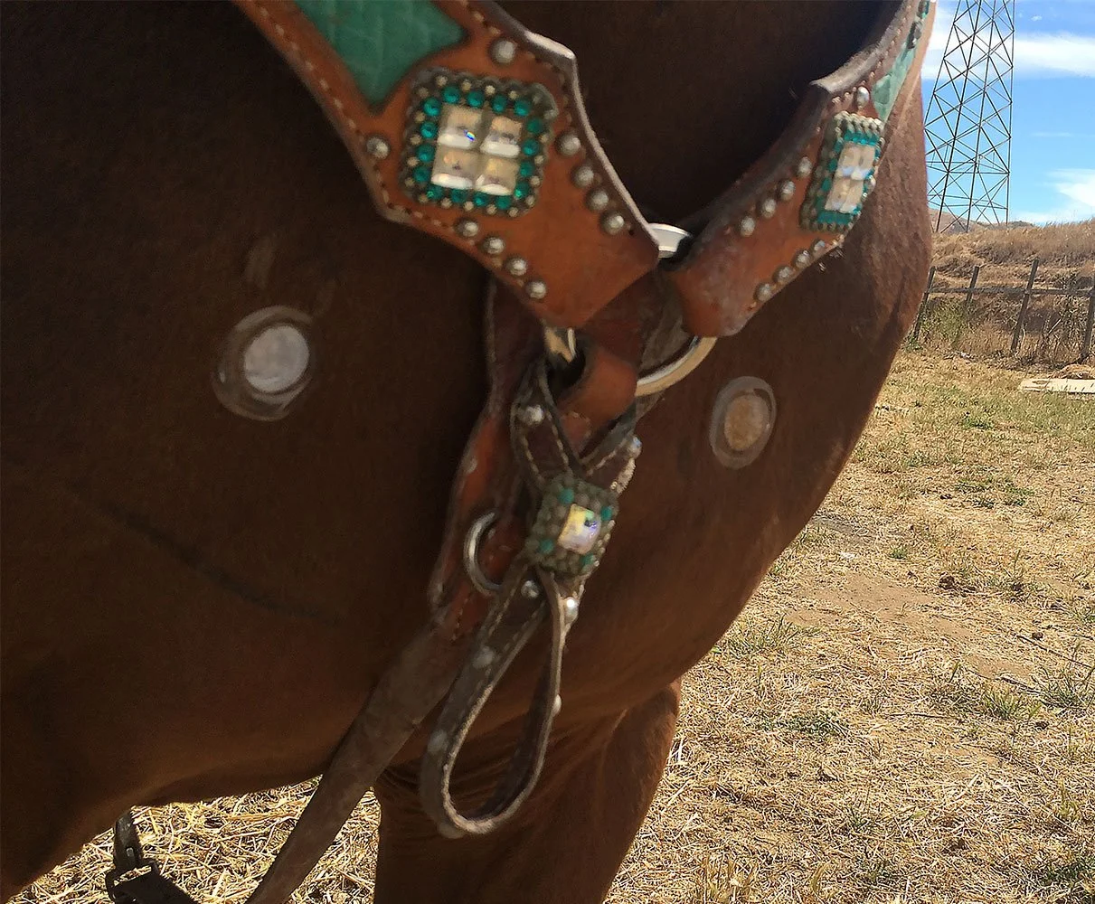 Close-up of a brown horse's body with a Western-style leather saddle and bridle, showing decorative silver and turquoise accents, outdoors on a sunny day with a field and power lines in the background.
