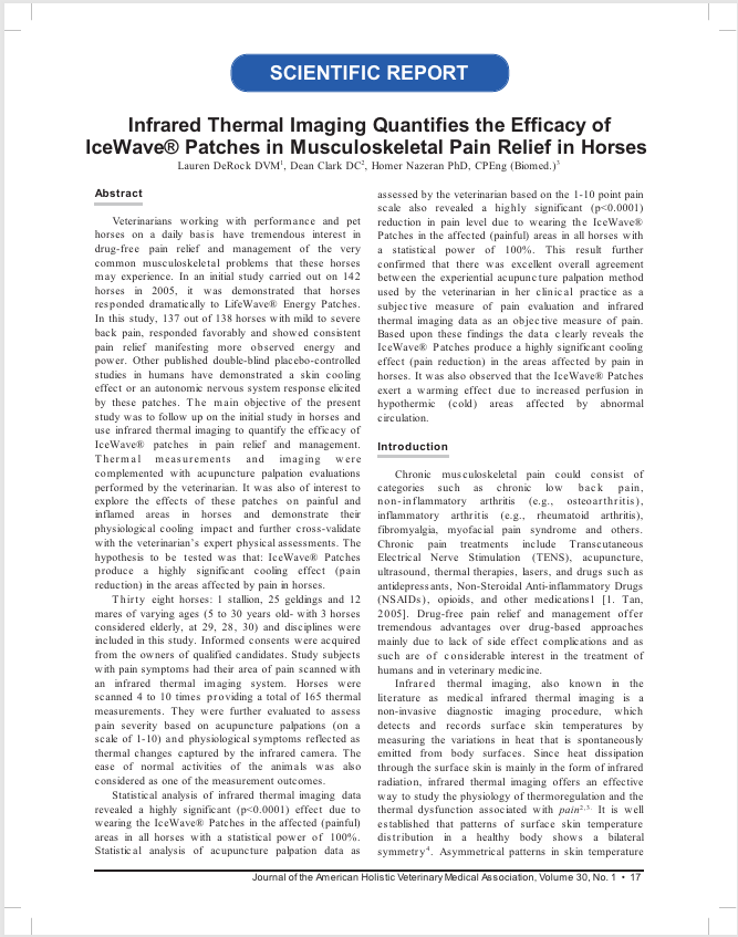 Scientific report about infrared thermal imaging and its effectiveness in managing musculoskeletal pain in horses, including methodology and findings.