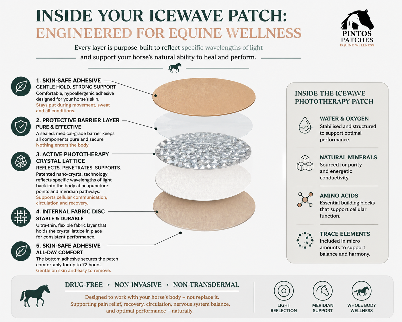 Diagram of inside layers of an icewave patch for horse wellness, showing five key components: skin-safe adhesive, protective barrier layer, active phototherapy crystal lattice, internal fabric disc, and skin-safe adhesive for all-day comfort. Includes a sidebar describing the benefits of water & oxygen, natural minerals, amino acids, and trace elements used in the patch.
