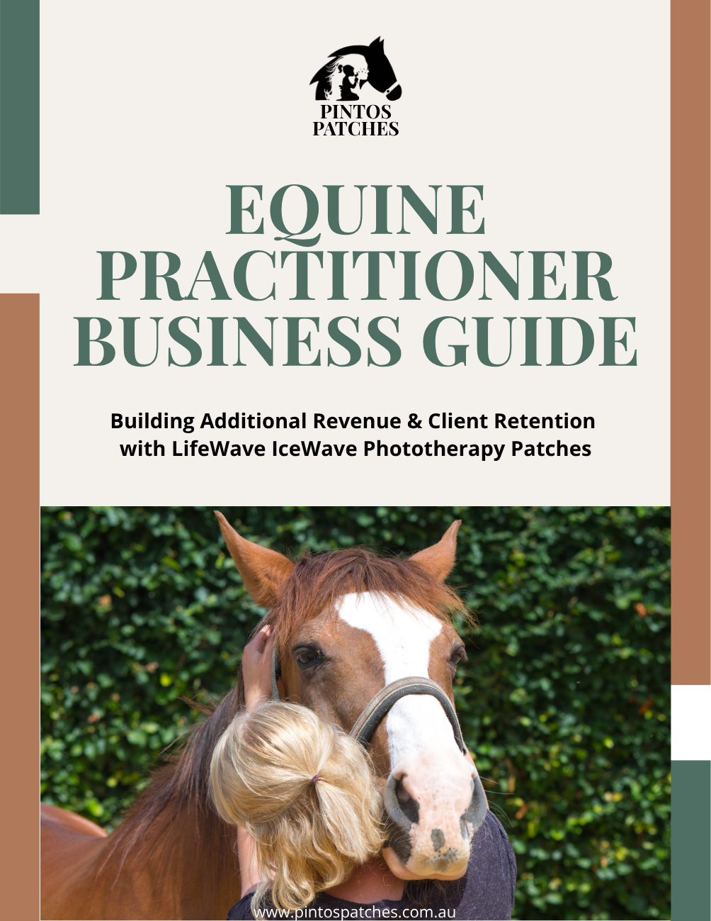 Cover of an equine business guide titled 'Equine Practitioner Business Guide' with a logo of a horse and a skull above the title, and a photograph of a person hugging a brown and white horse in front of a green hedge.