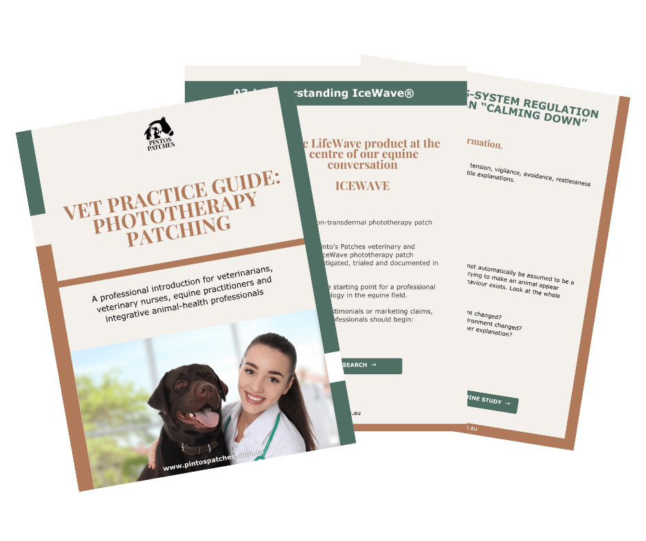 Dog trainer and a brown dog on the cover of a veterinary practice guide about phototherapy patching, with multiple pages of the guide visible behind.