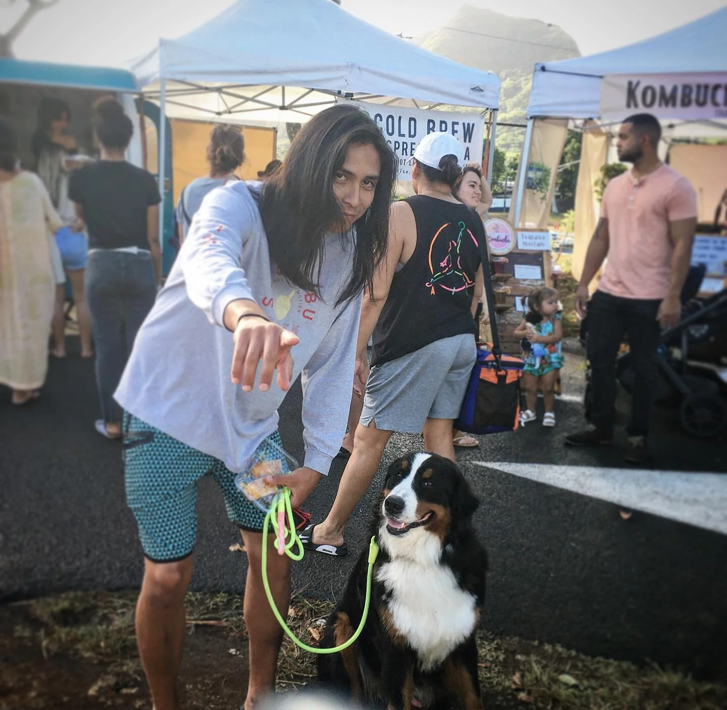 Working in public for Apollo the Burnese Mountain Dog&rsquo;s last session of training!🐾💯 Mahalo @dj_prs10 for trusting in the process! 🤙 #KūK9 #KuK9DogTraining #dogtraining #hawaii
*
*
*
#dogtrainer #dogs #dogreels #dogsofinstagram #dogsofinsta #