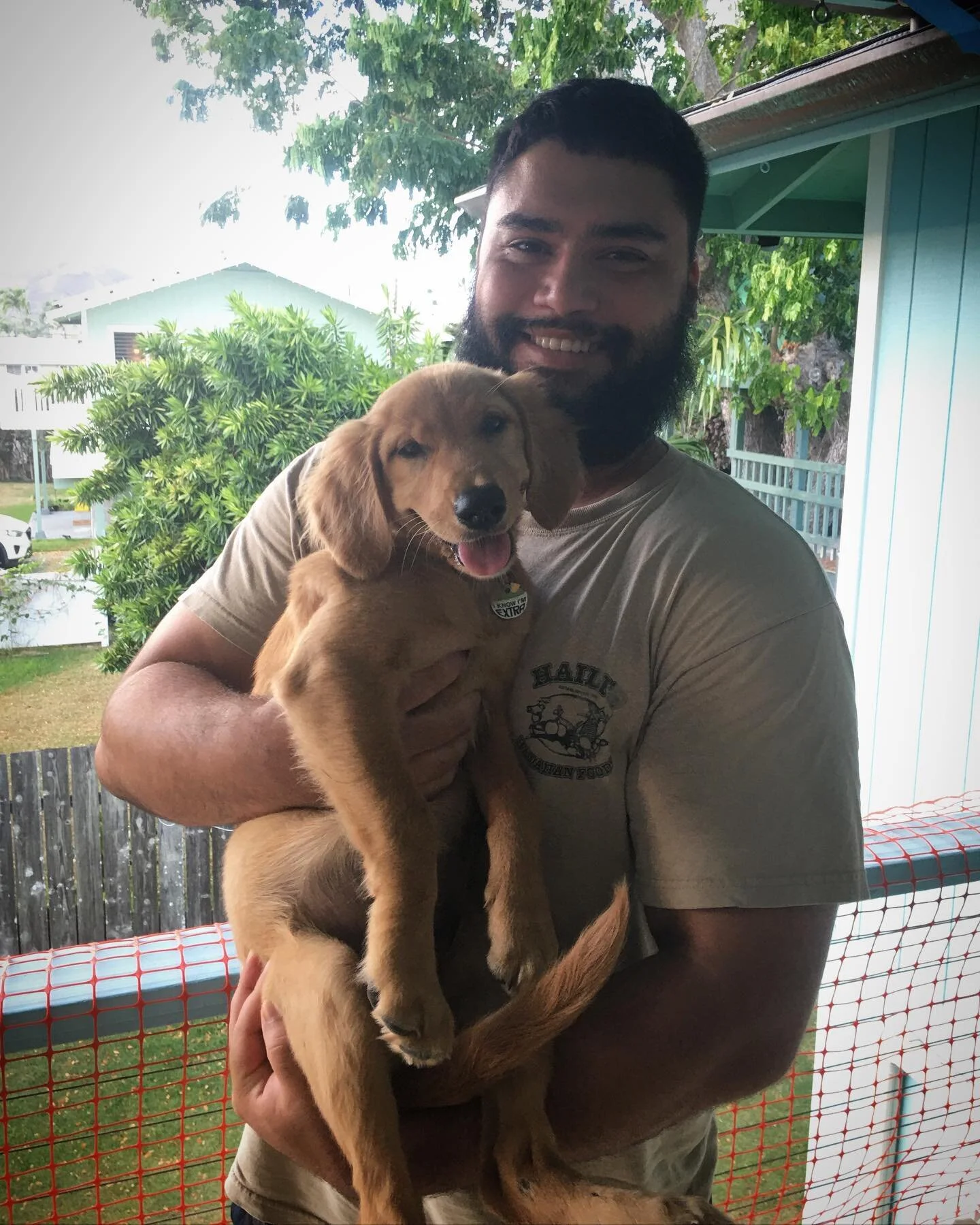 Today was day 1 of Alani&rsquo;s Puppy Shaping course 🐾🤙 Excited to be apart of her journey! #KūK9 #KuK9DogTraining #dogtraining #hawaii
*
*
*
#dogtrainer #dogs #dogreels #dogsofinstagram #dogsofinsta #dog #dogoftheday #doglover #dogobedience #dogt