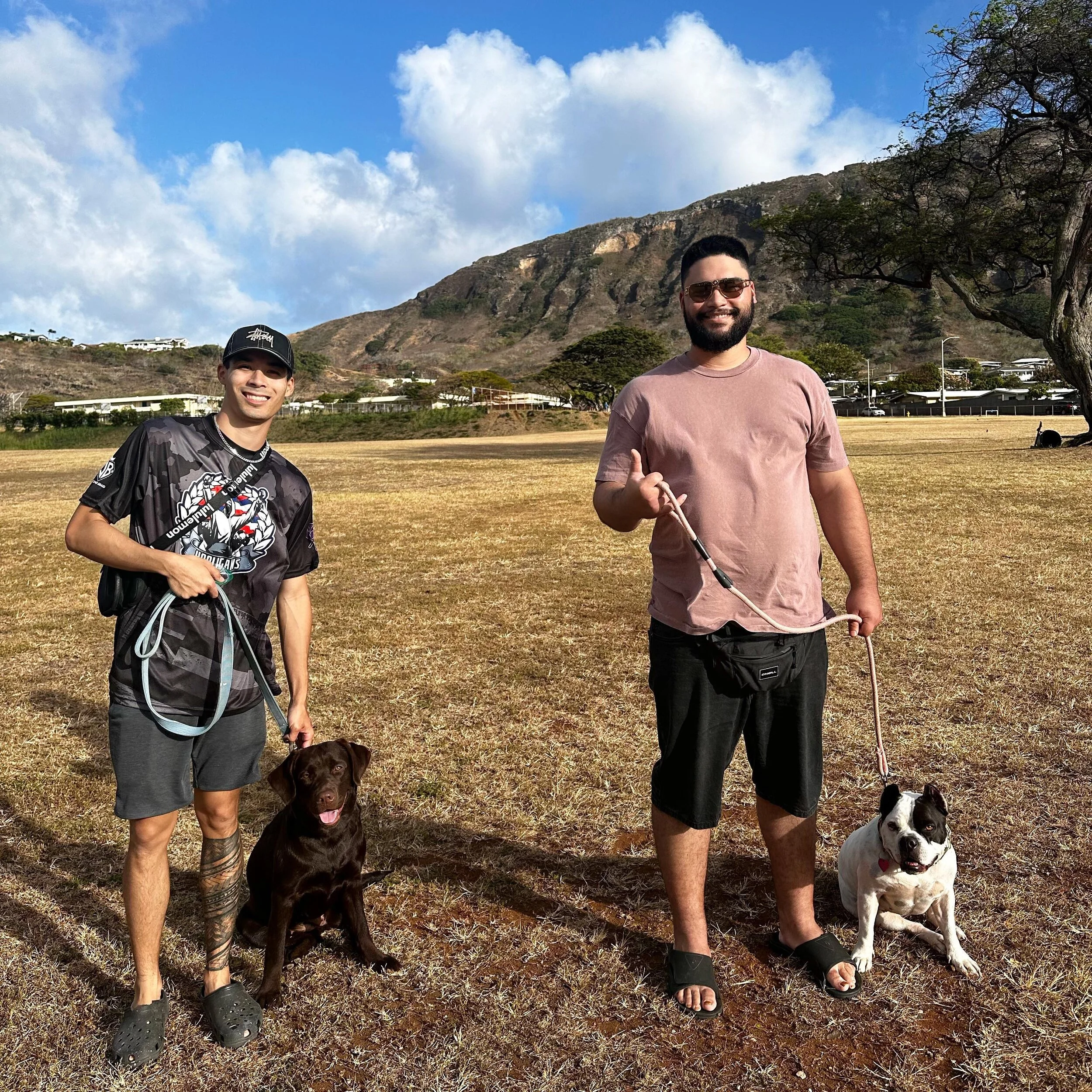 Today was Ellie&rsquo;s first training session along side my dog Rosie 🐾 It was a great opportunity for Ellie to socialize and work on her behaviors in the presence of another dog 🤙 #KūK9 #KuK9DogTraining #dogtraining #hawaii
*
*
*
#dogtrainer #dog