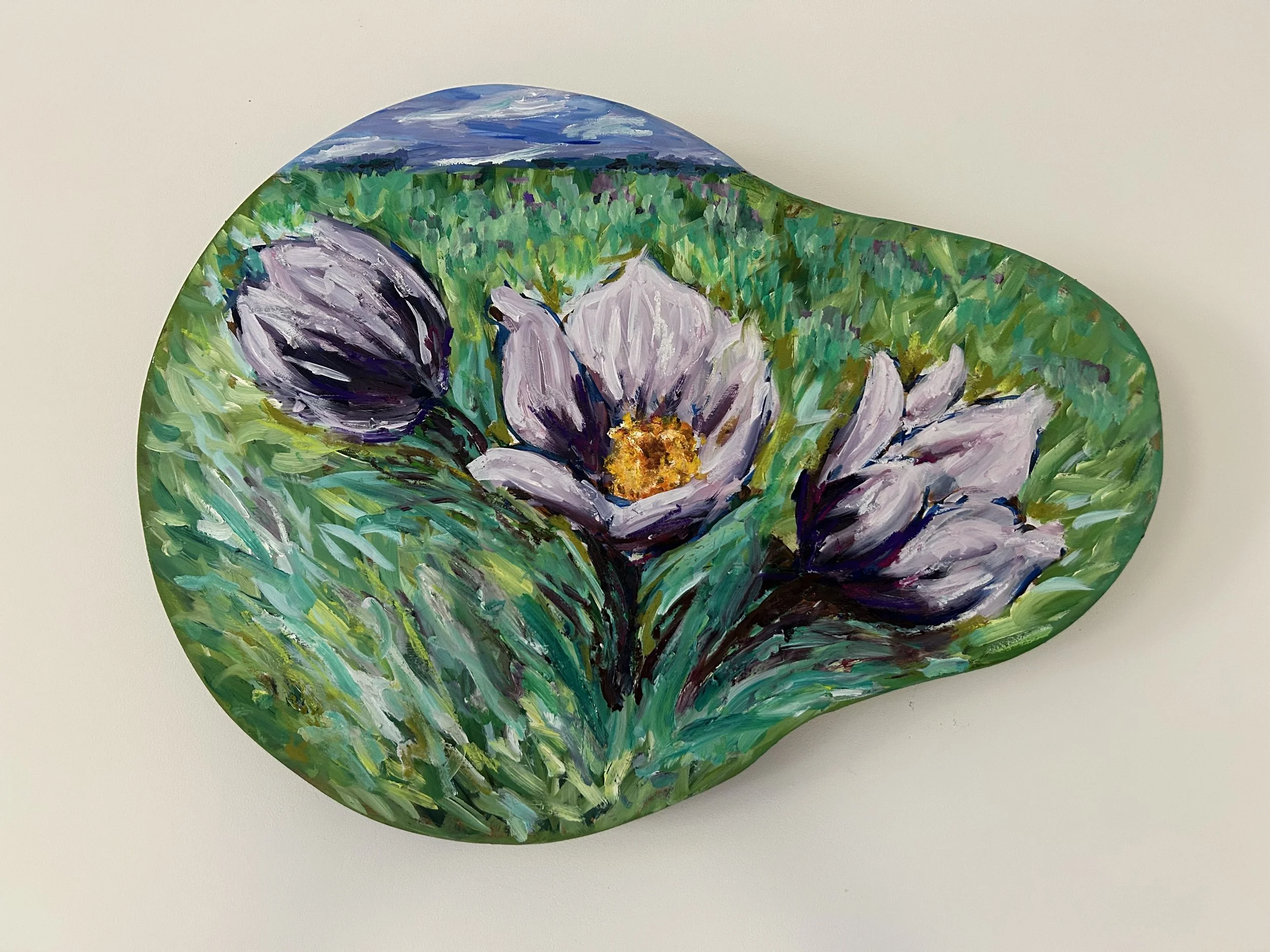 Blackfalds crocus.jpg