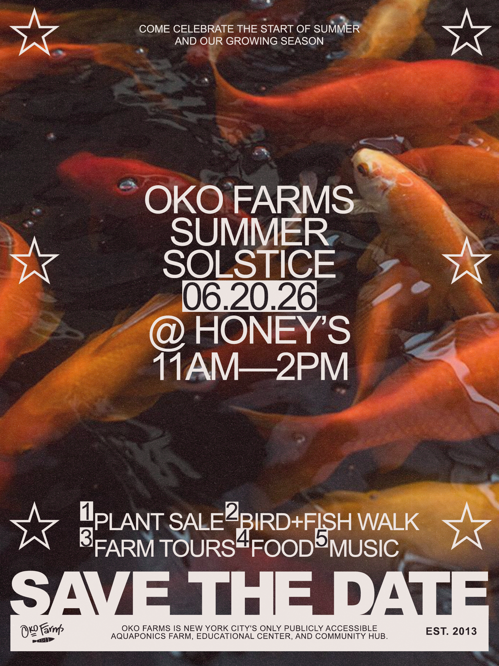 SUMMER SOLSTICE with Oko Farms
