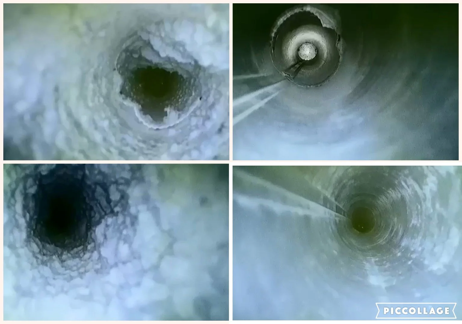 Collage 2024-02-11 10_09_17.jpg