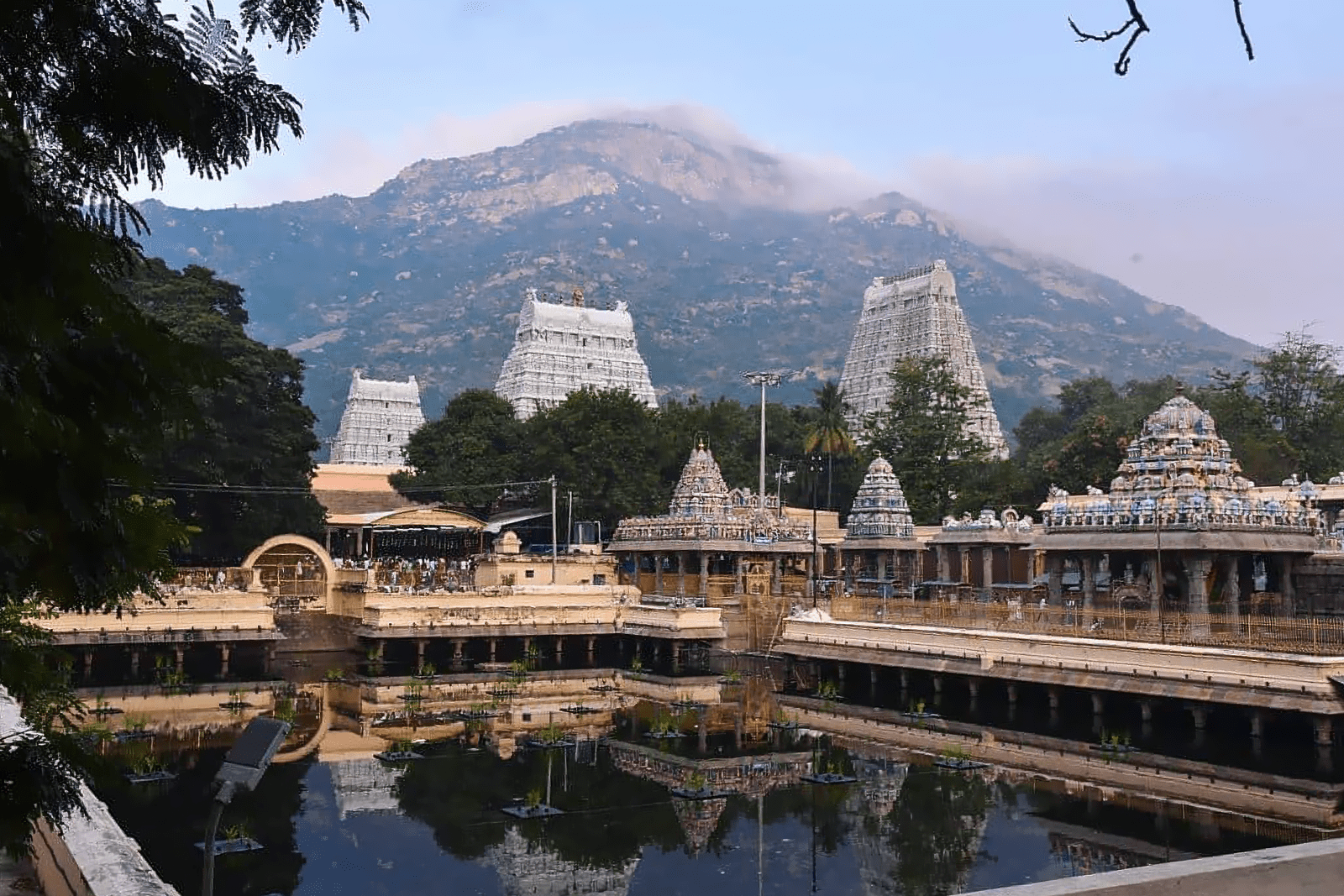ARUNACHALA RETREAT WITH MITCH HUNTER & ROSE LAMONT - DEPOSIT
