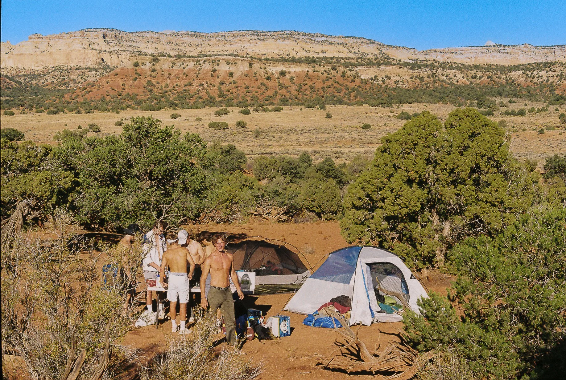 Honey Campers