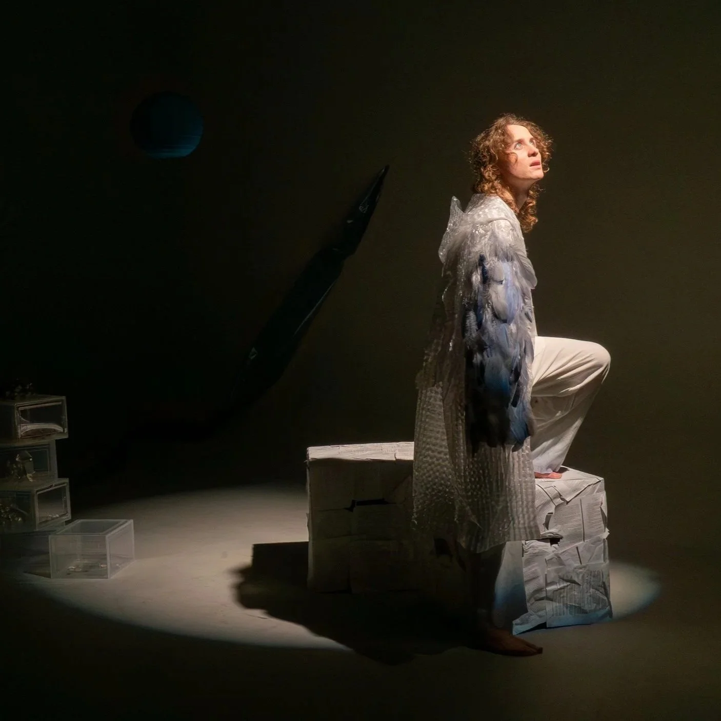 See you in the promised land (2024)