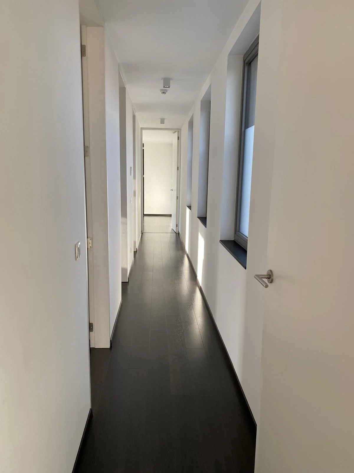 449-4-nachthal2.jpg