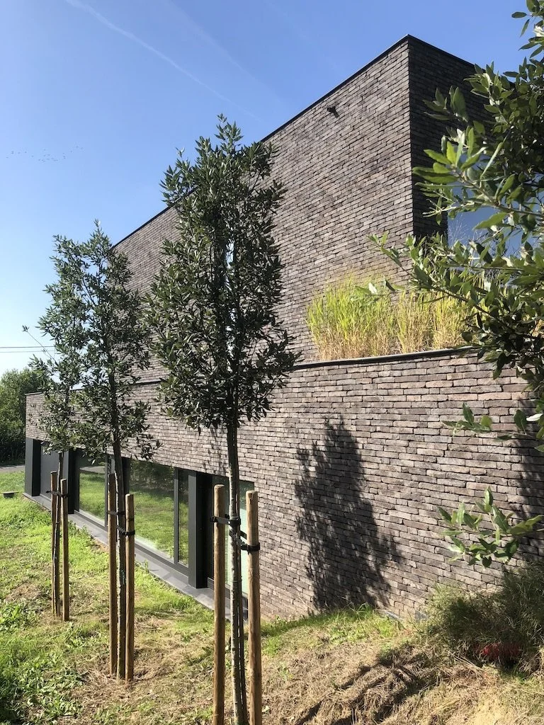 Rotselaar-groen-rond-woning