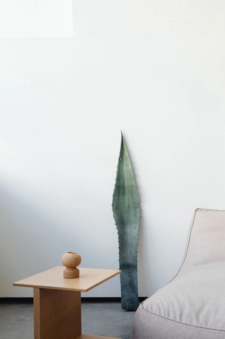 kaboompics_beige-armchair-table-agave-leaf-22075 Large.jpeg