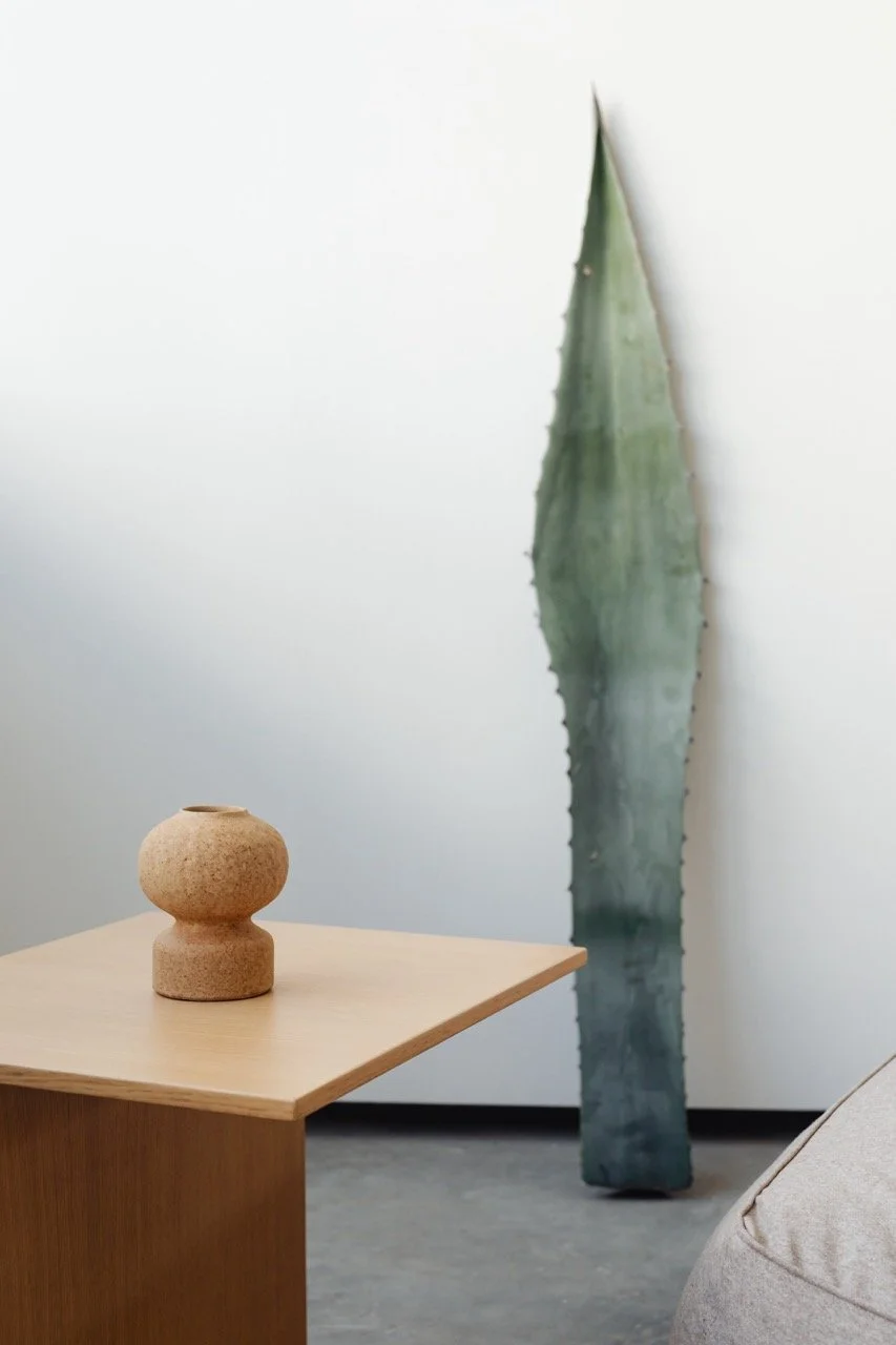 kaboompics_beige-armchair-table-agave-leaf-22077 Large.jpeg