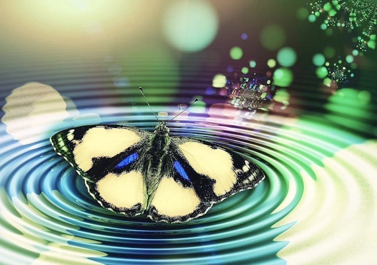 Butterfly Self Poetry.jpg