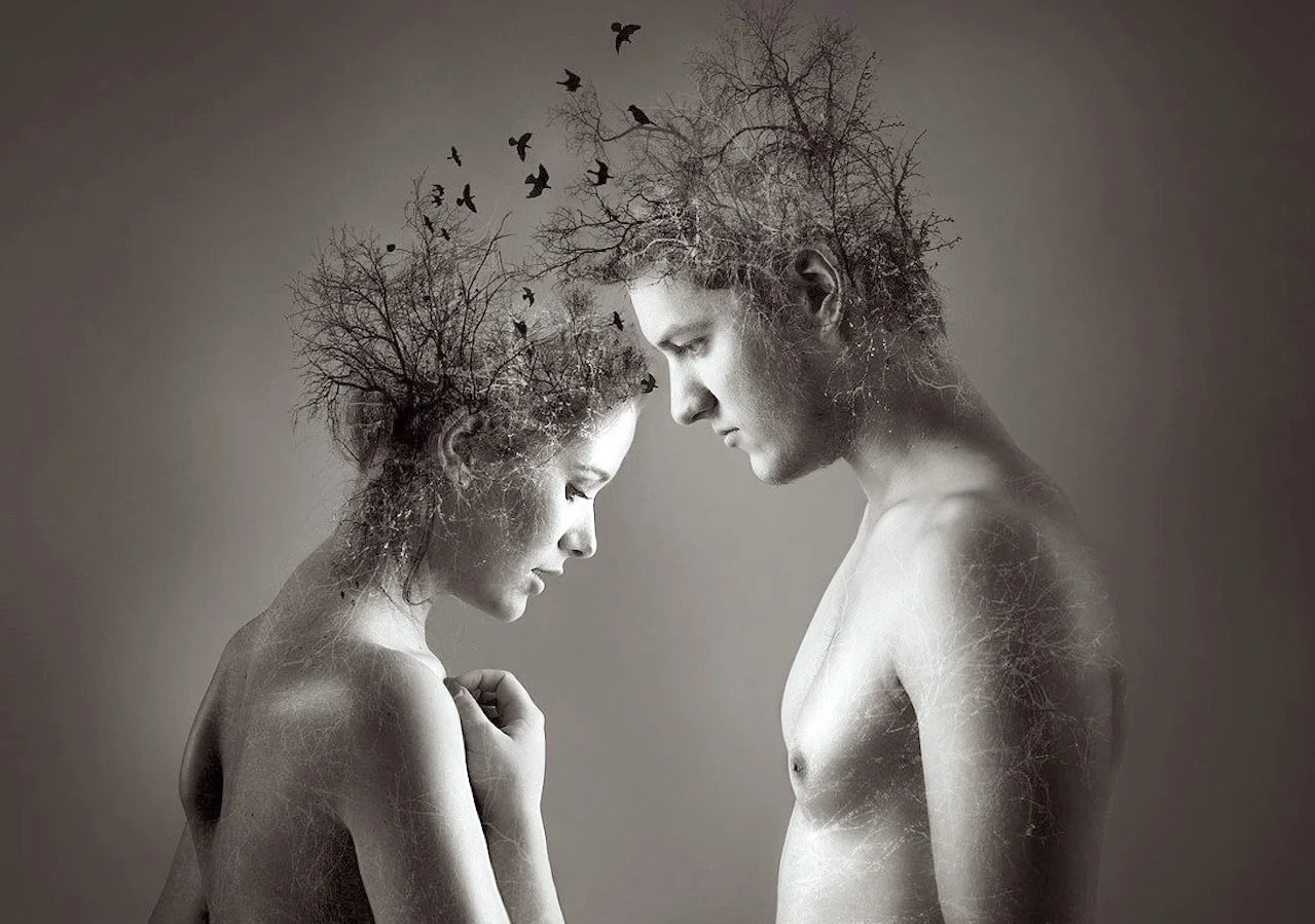 Soulmates Poetry.jpg