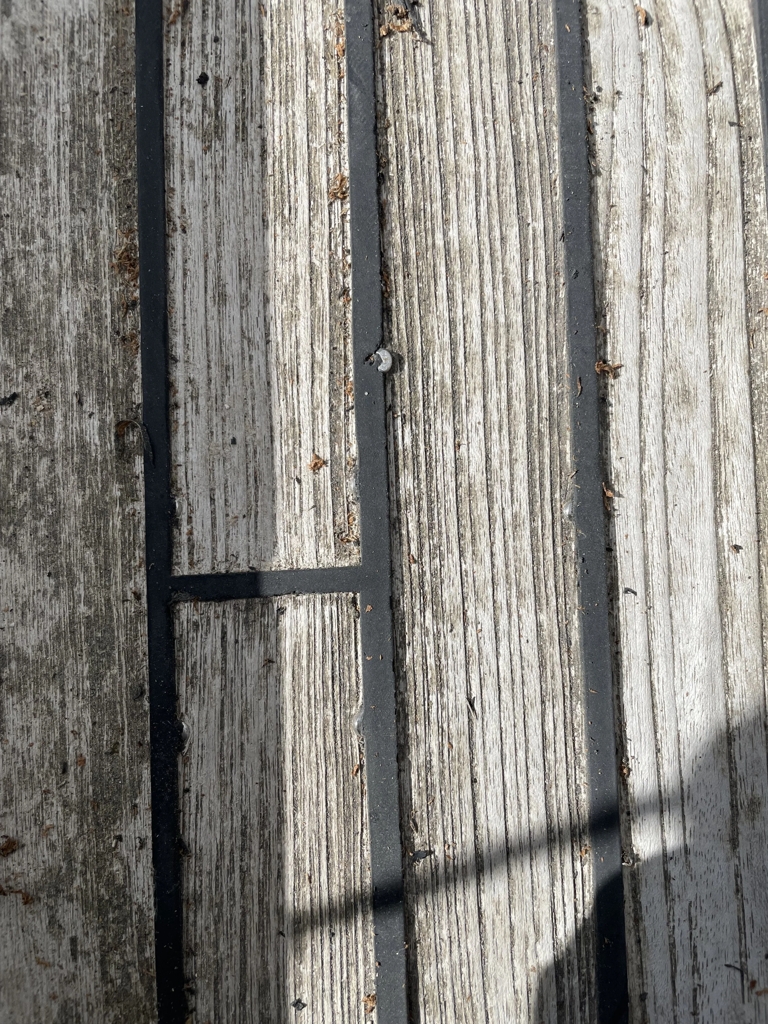 IMG_5313.jpeg
