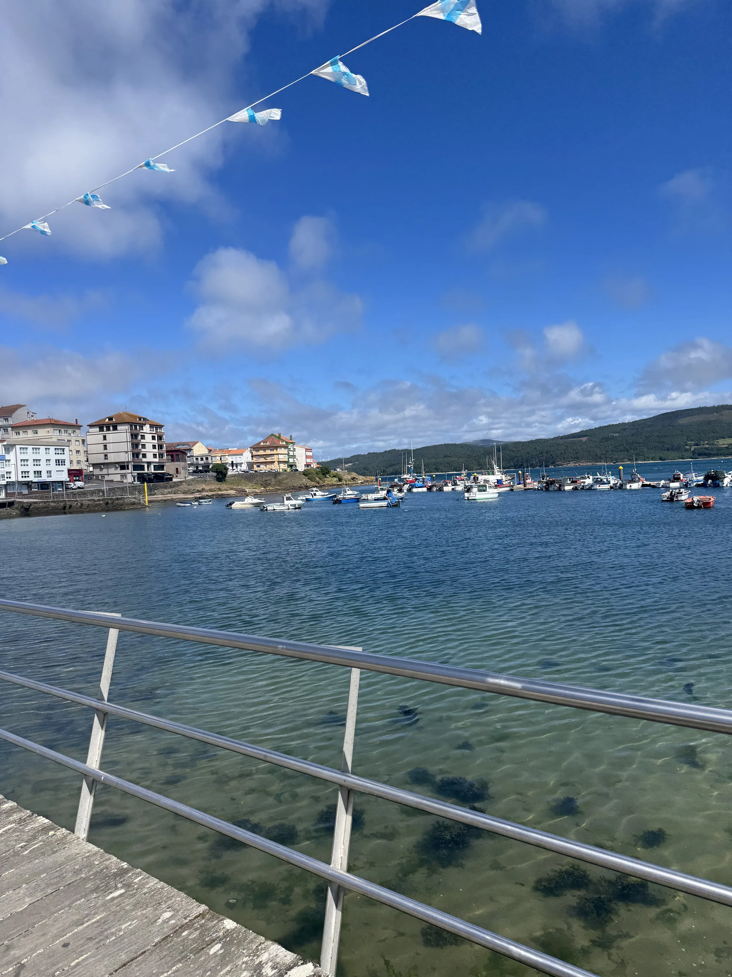 IMG_0993.jpeg