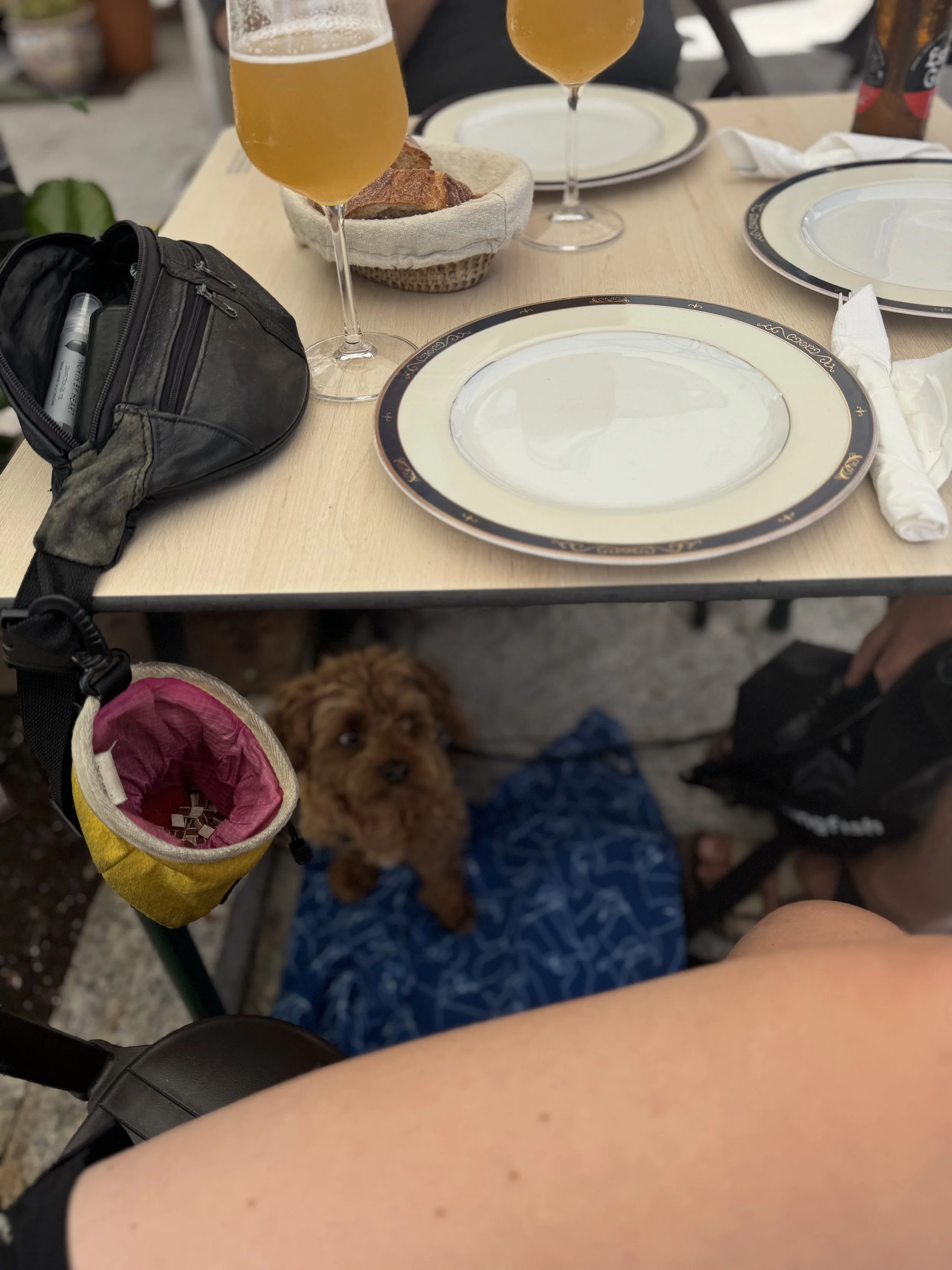IMG_4923.jpeg