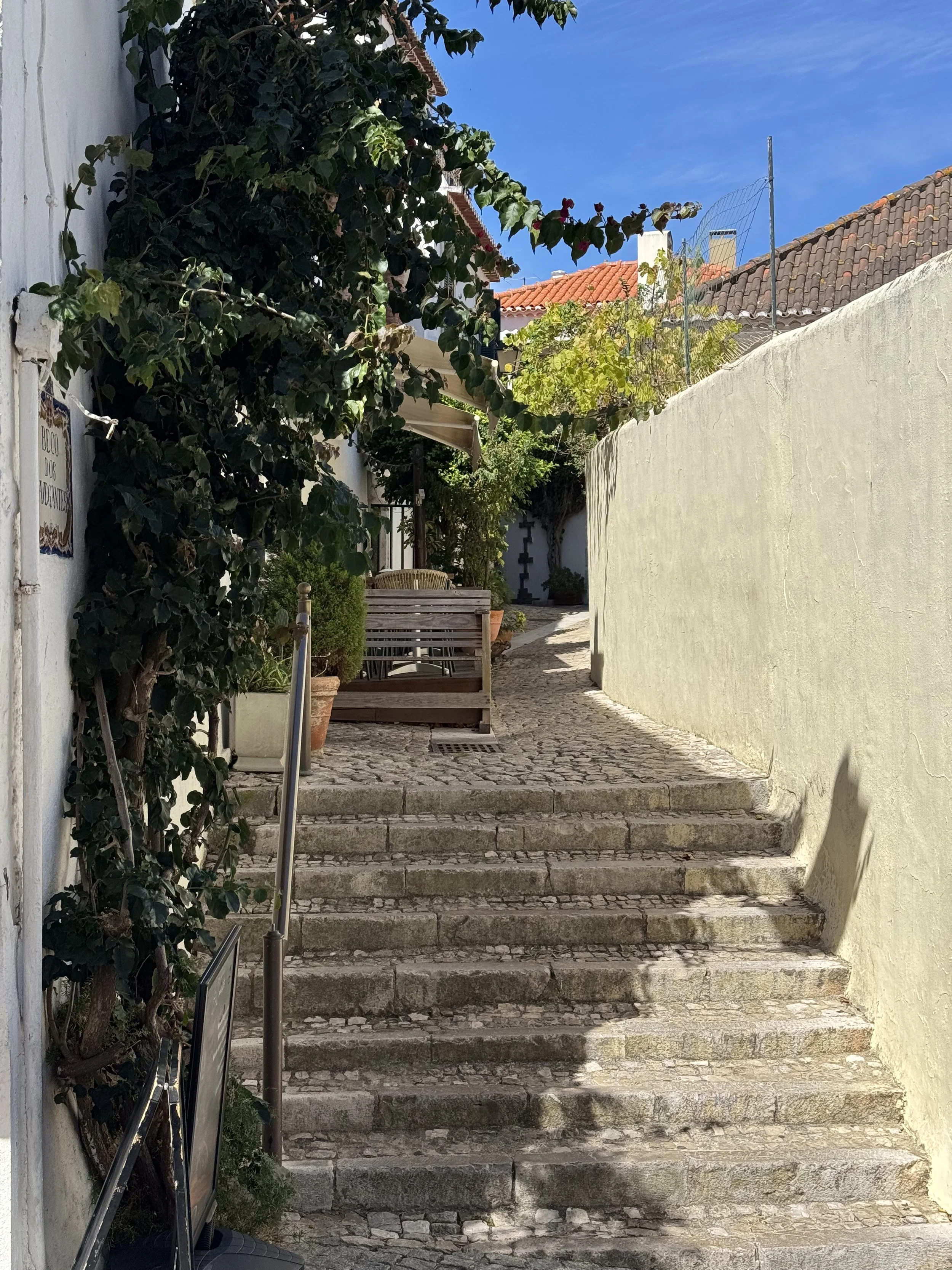 IMG_7120.jpeg