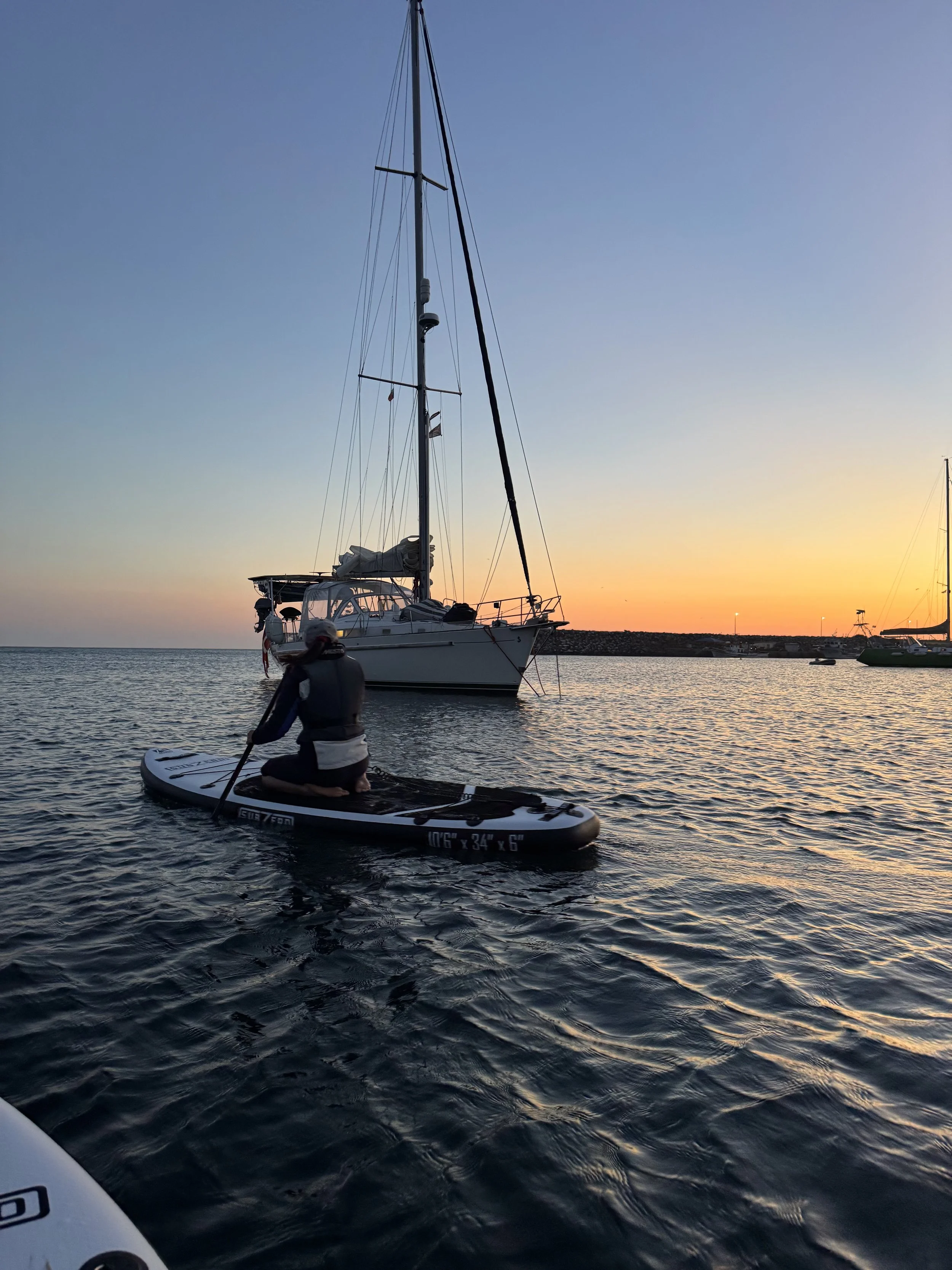 IMG_7435.jpeg