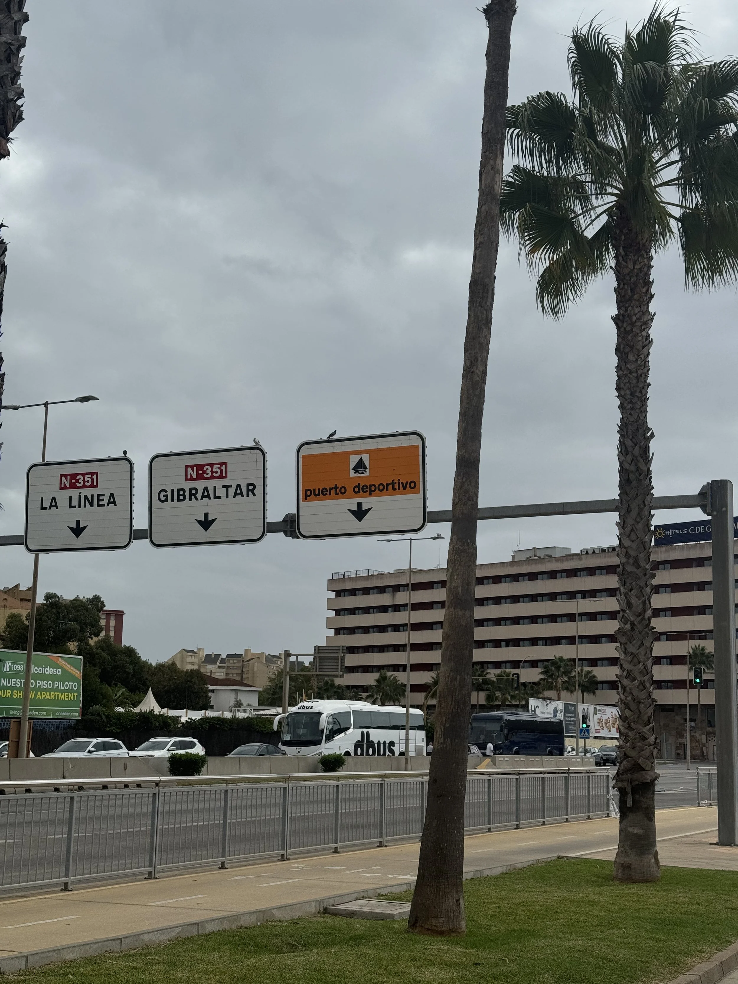 IMG_8294.jpeg