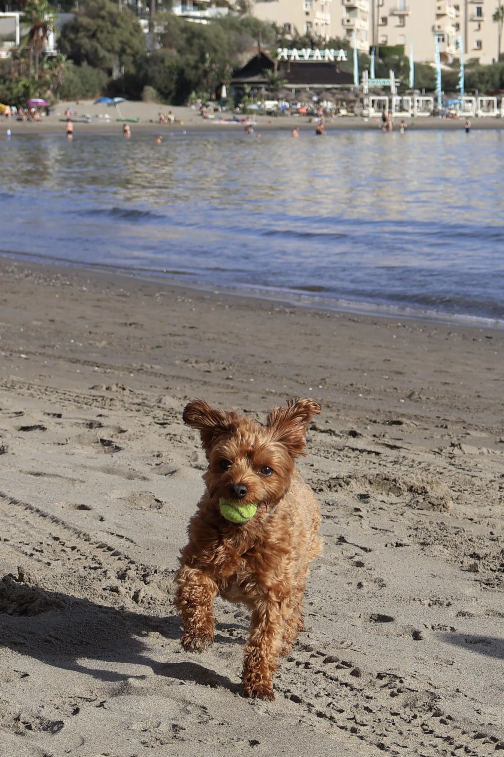 IMG_0060.jpeg