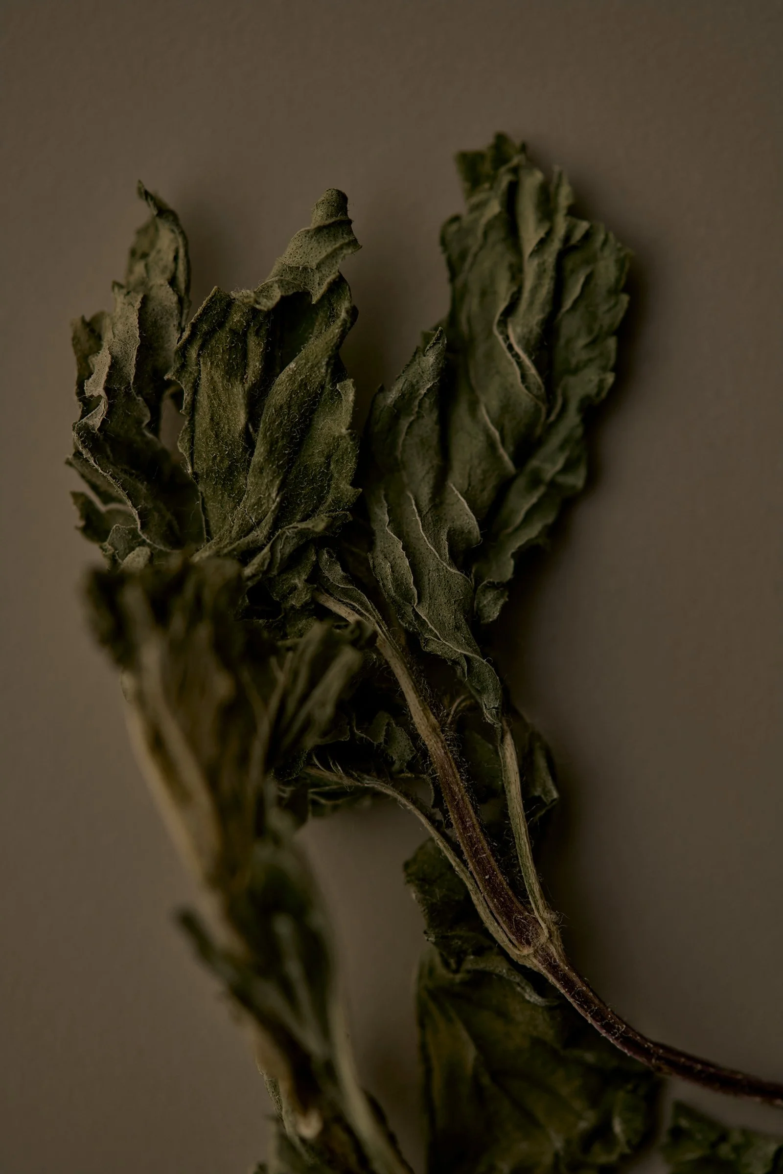 n_67470.jpg
