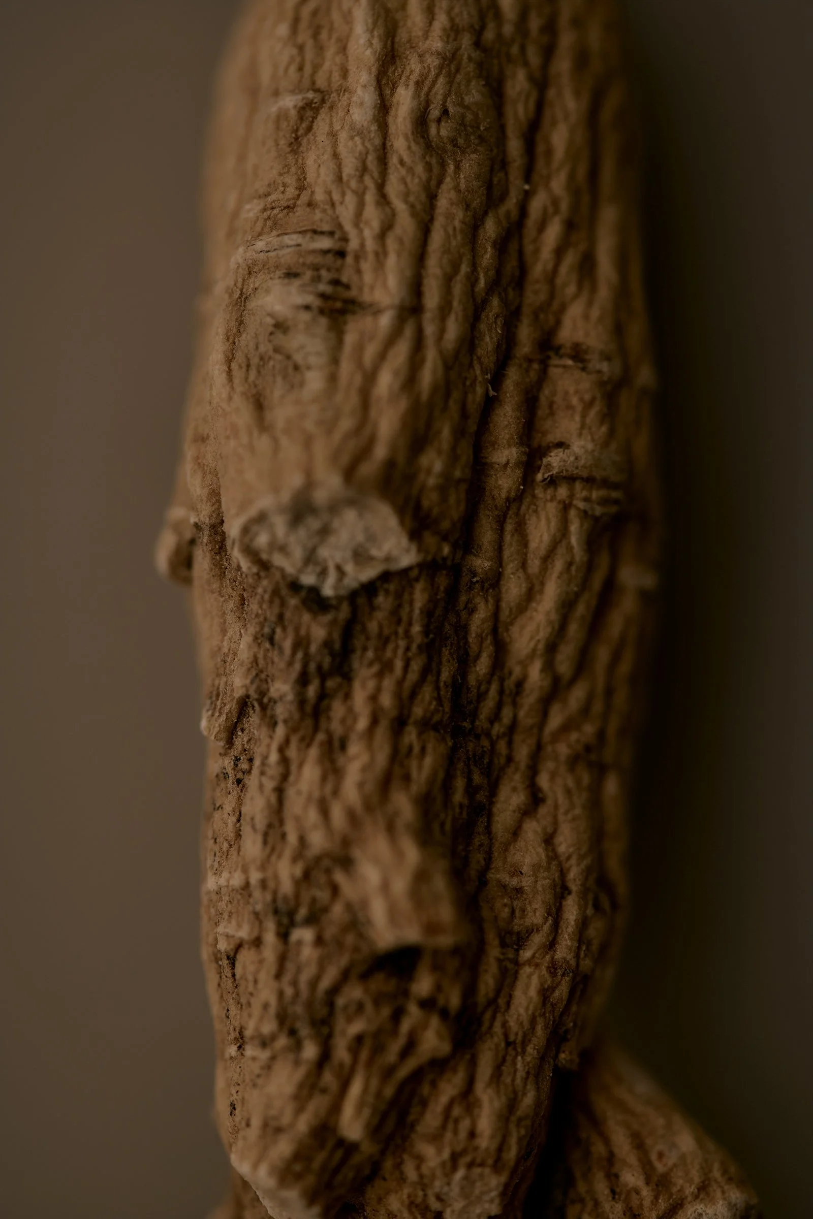 n_67466.jpg