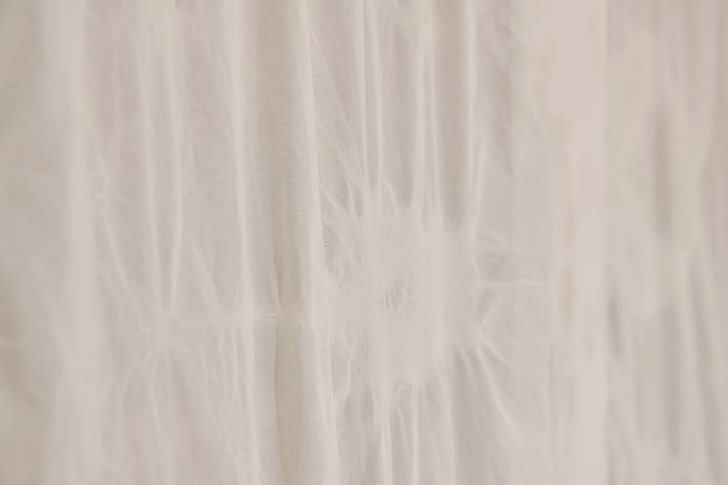 n_88057_re02.jpg