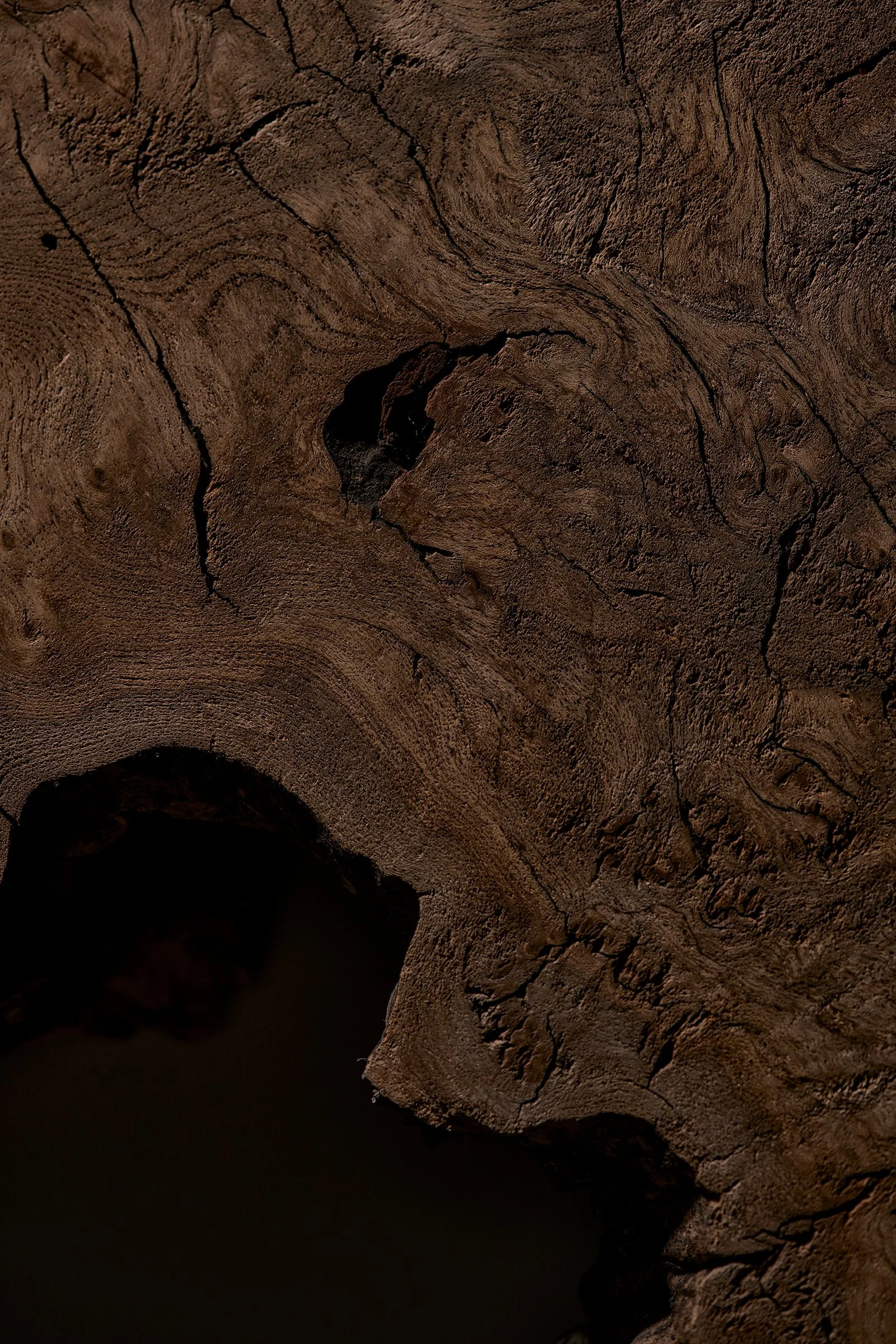n_67453.jpg