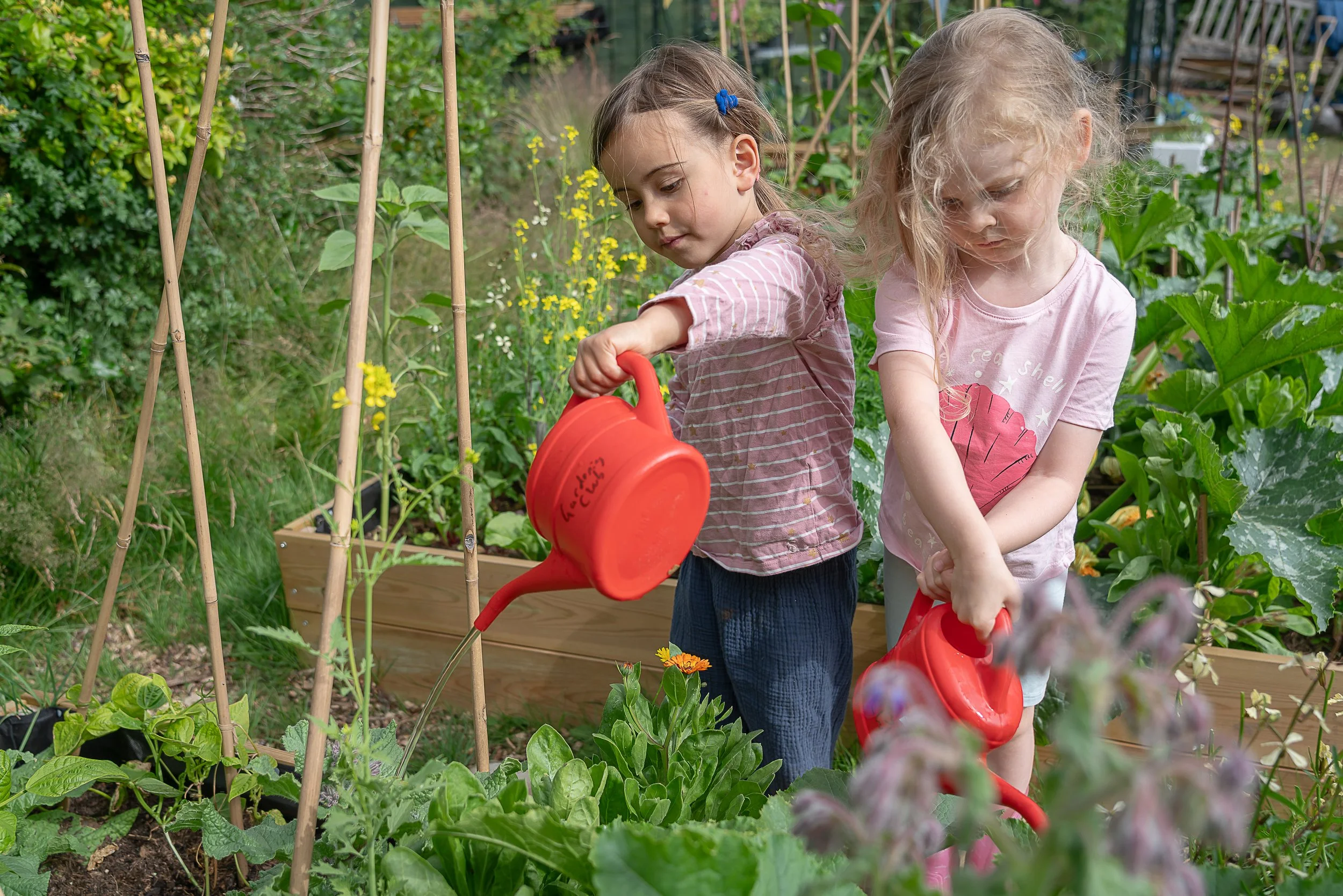 HGS Kids Gardening Club