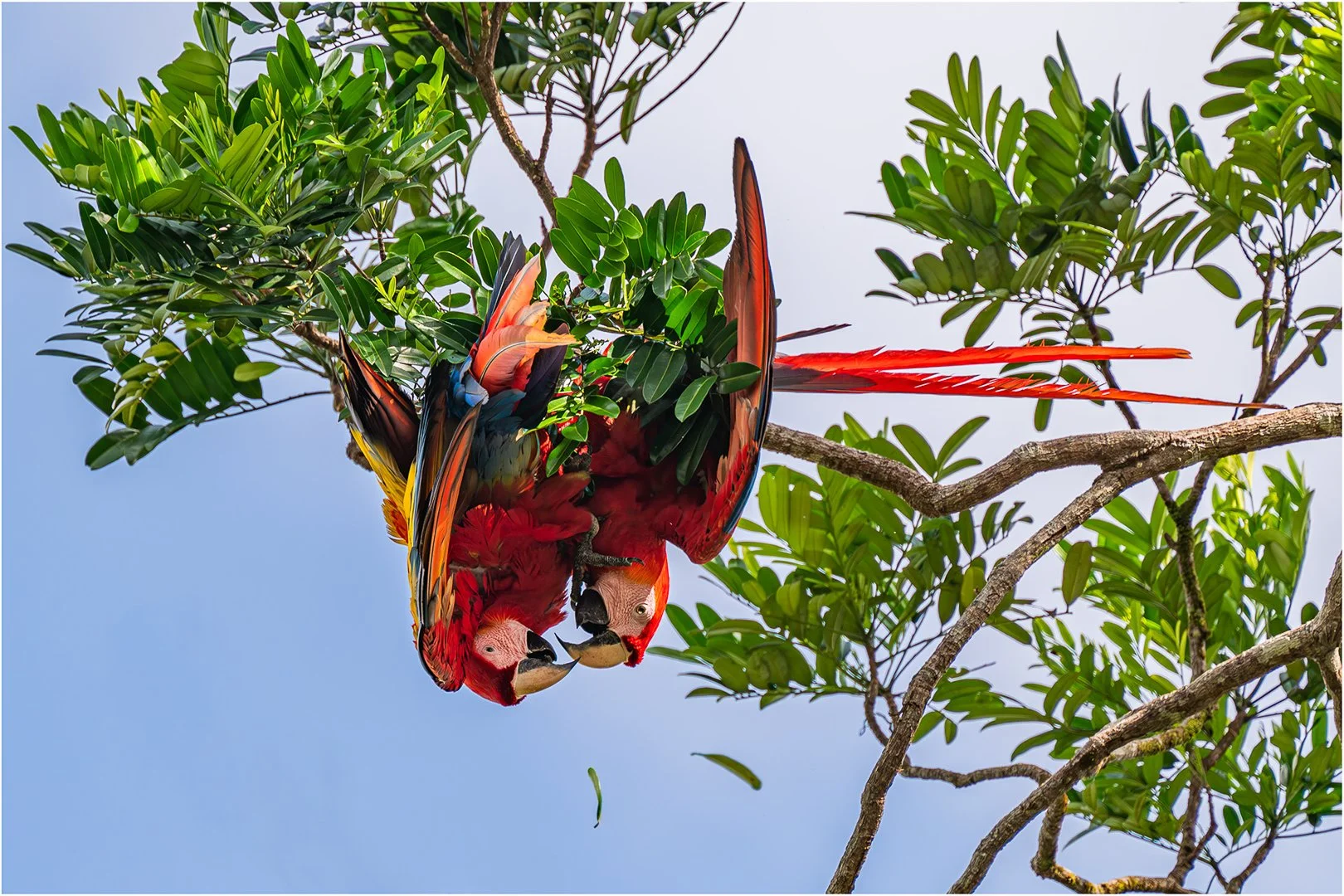     Colourful Costa Rica
