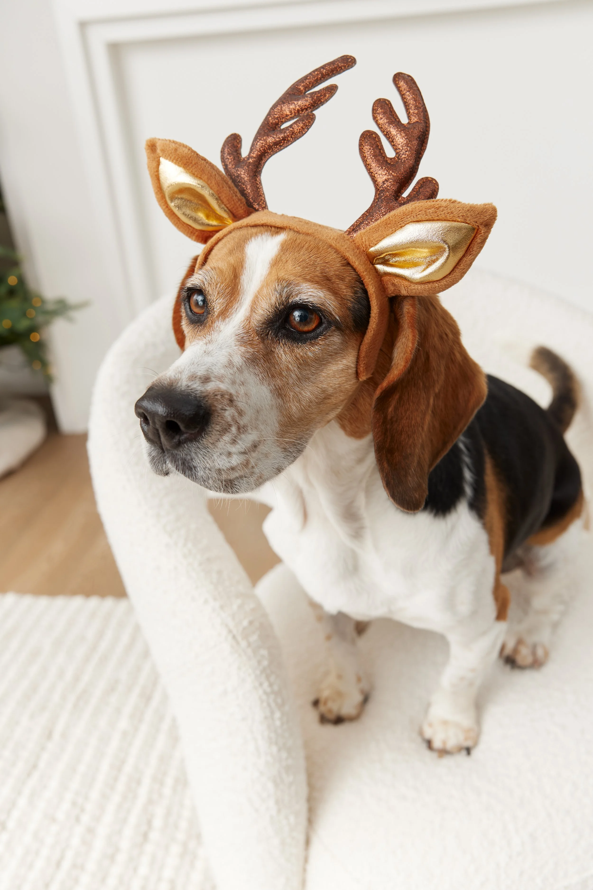 Holiday_Digital_HeadAccesory_Bailey_0017.jpg