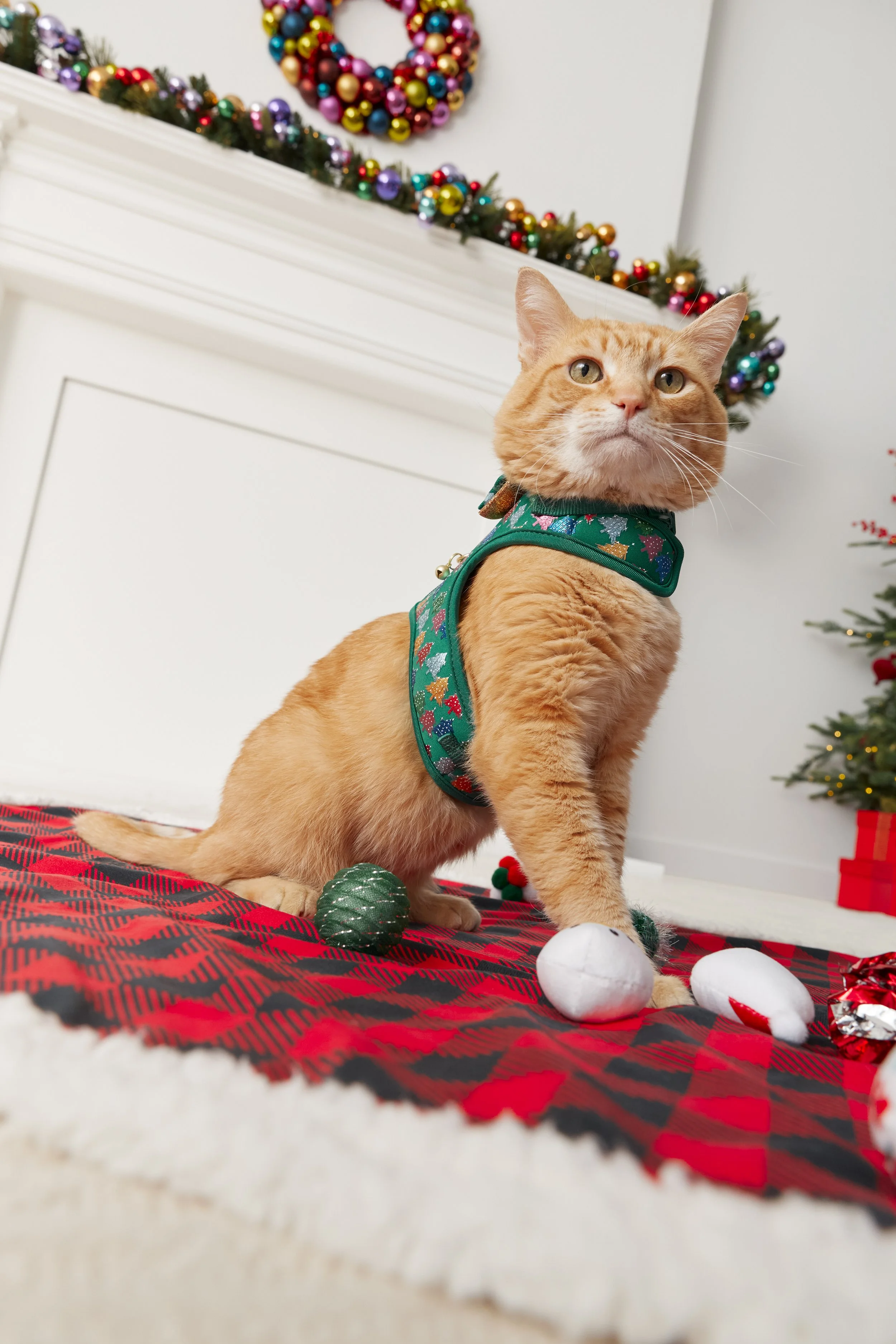 Holiday_Digital_Harness_Rizzo_0122.jpg