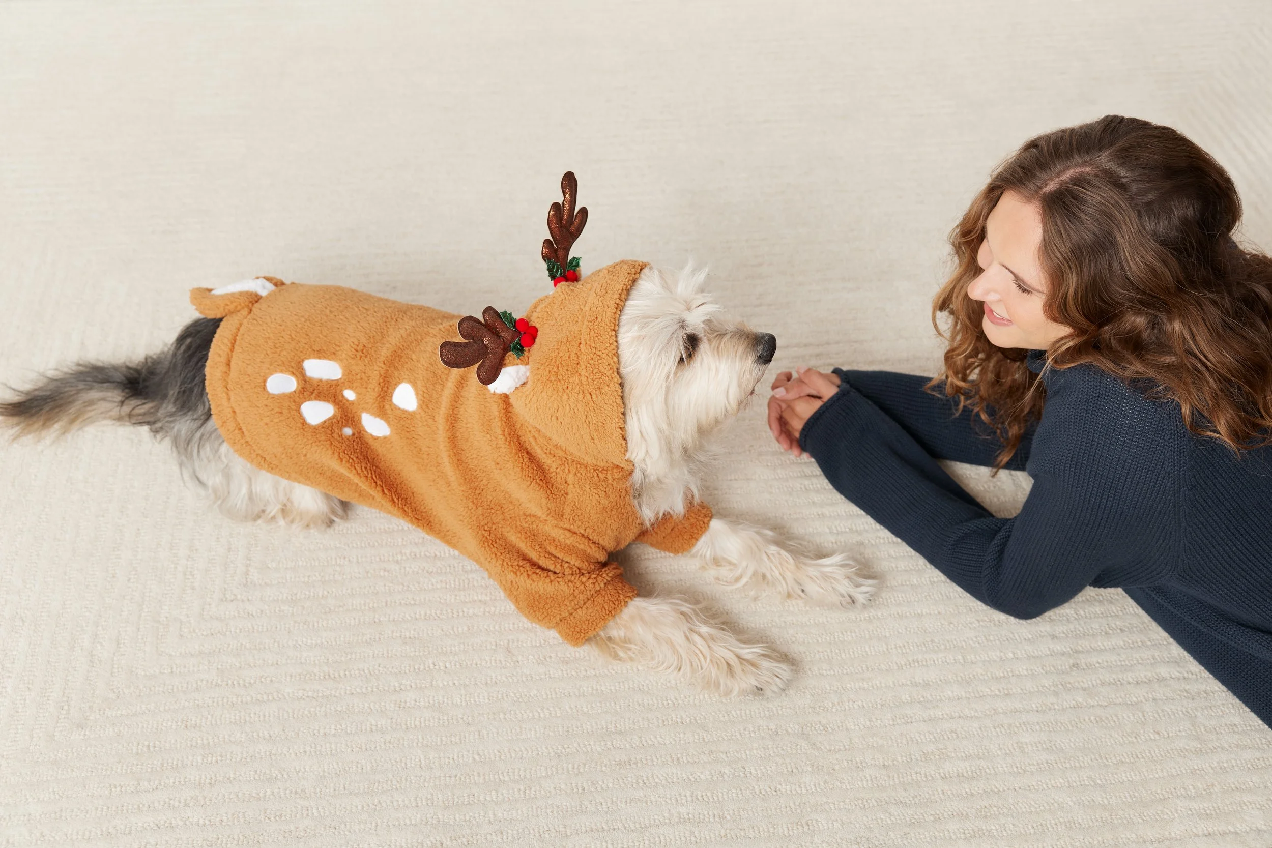 Holiday_PetParent_ReindeerHoodie_Charlie_Jet_0018.jpg