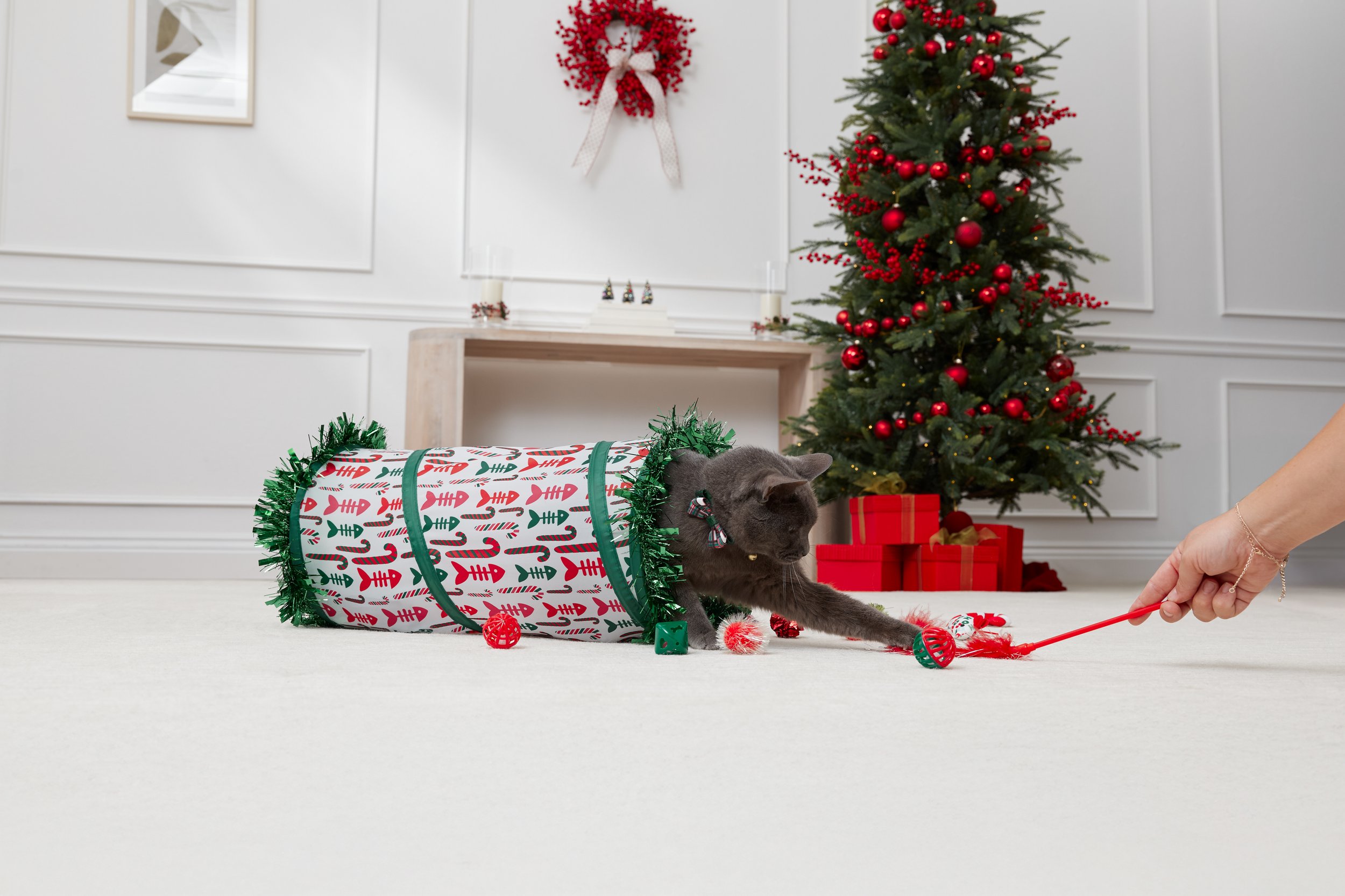 Holiday_Store_CatToys_Merlin_0114.jpg