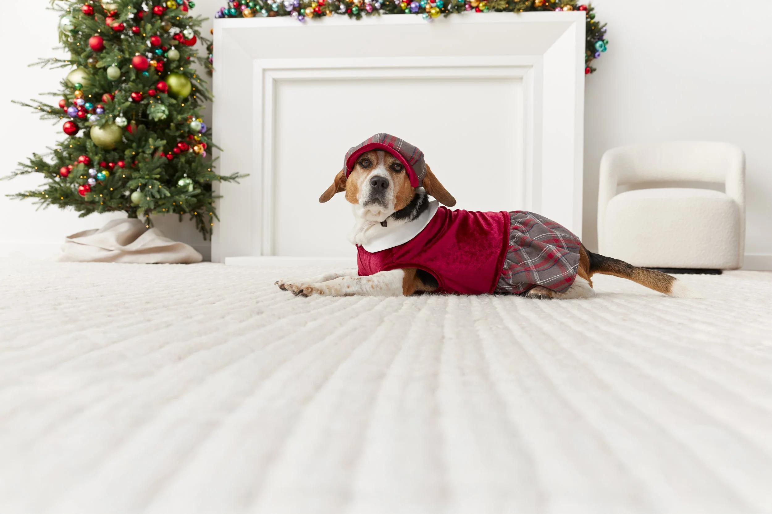 Holiday_Store_PlaidSweaterDress_Jasper_Bailey_0063.jpg