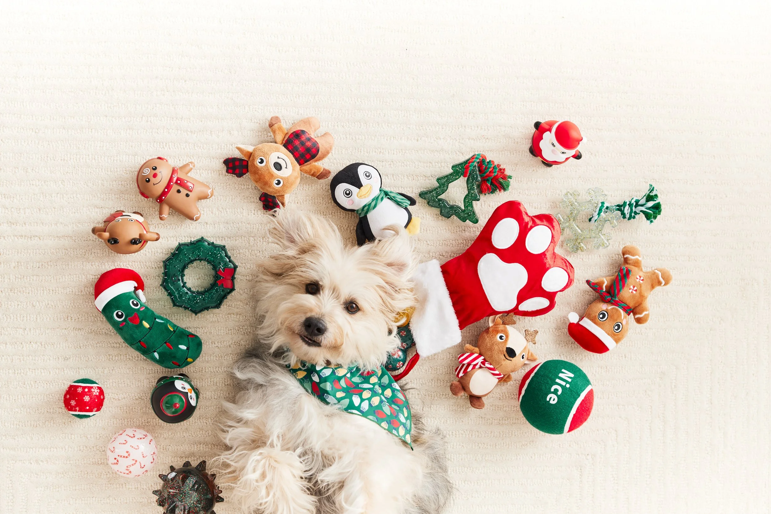 Holiday_Store_DogToys_Jet_0099.jpg