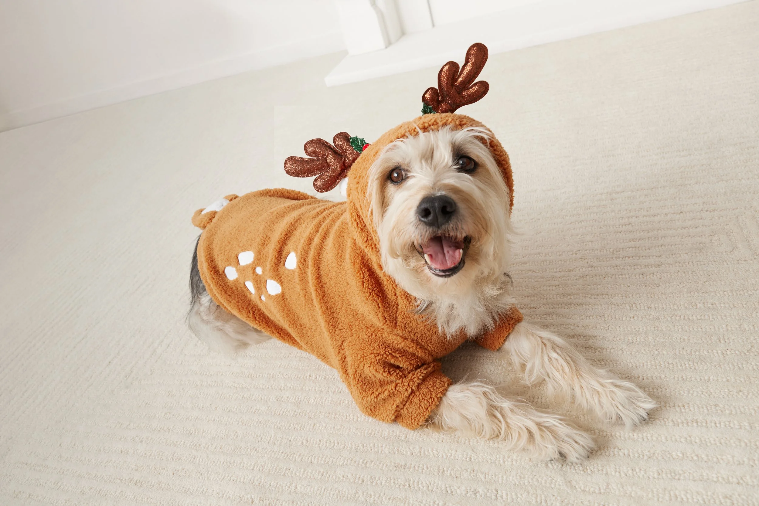 Holiday_PetParent_ReindeerHoodie_Charlie_Jet_0094.jpg