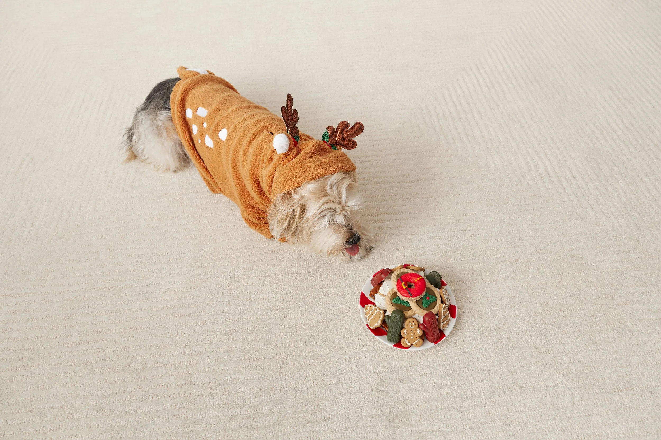 Holiday_PetParent_ReindeerHoodie_Charlie_Jet_0160.jpg