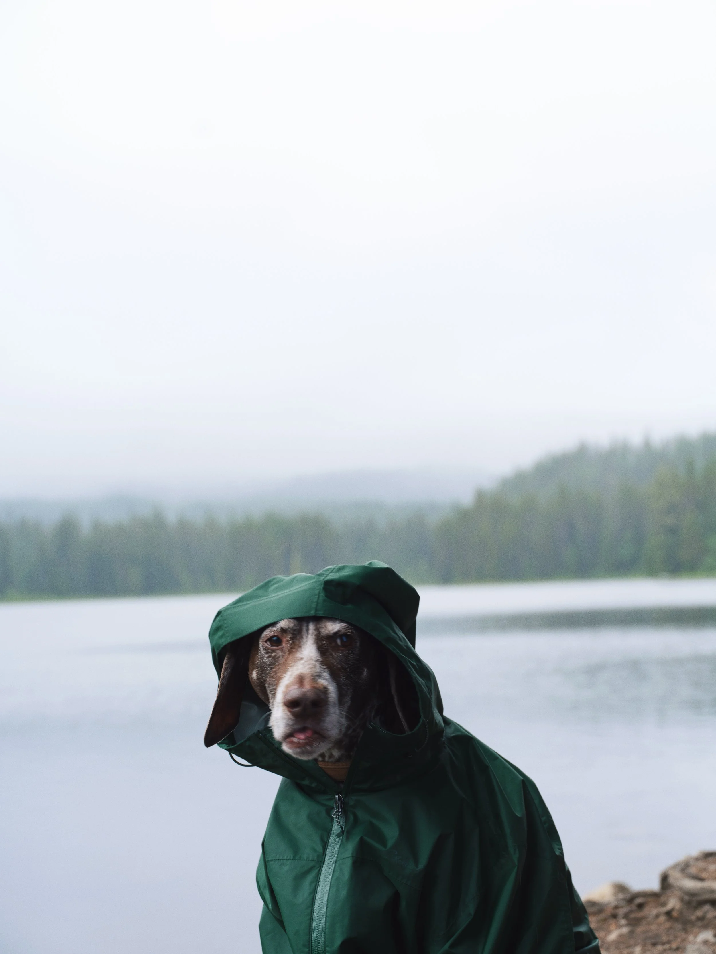 Eddie Bauer "Live Your Adventure" 2026 (production & casting).  Photographer Sam Hayes