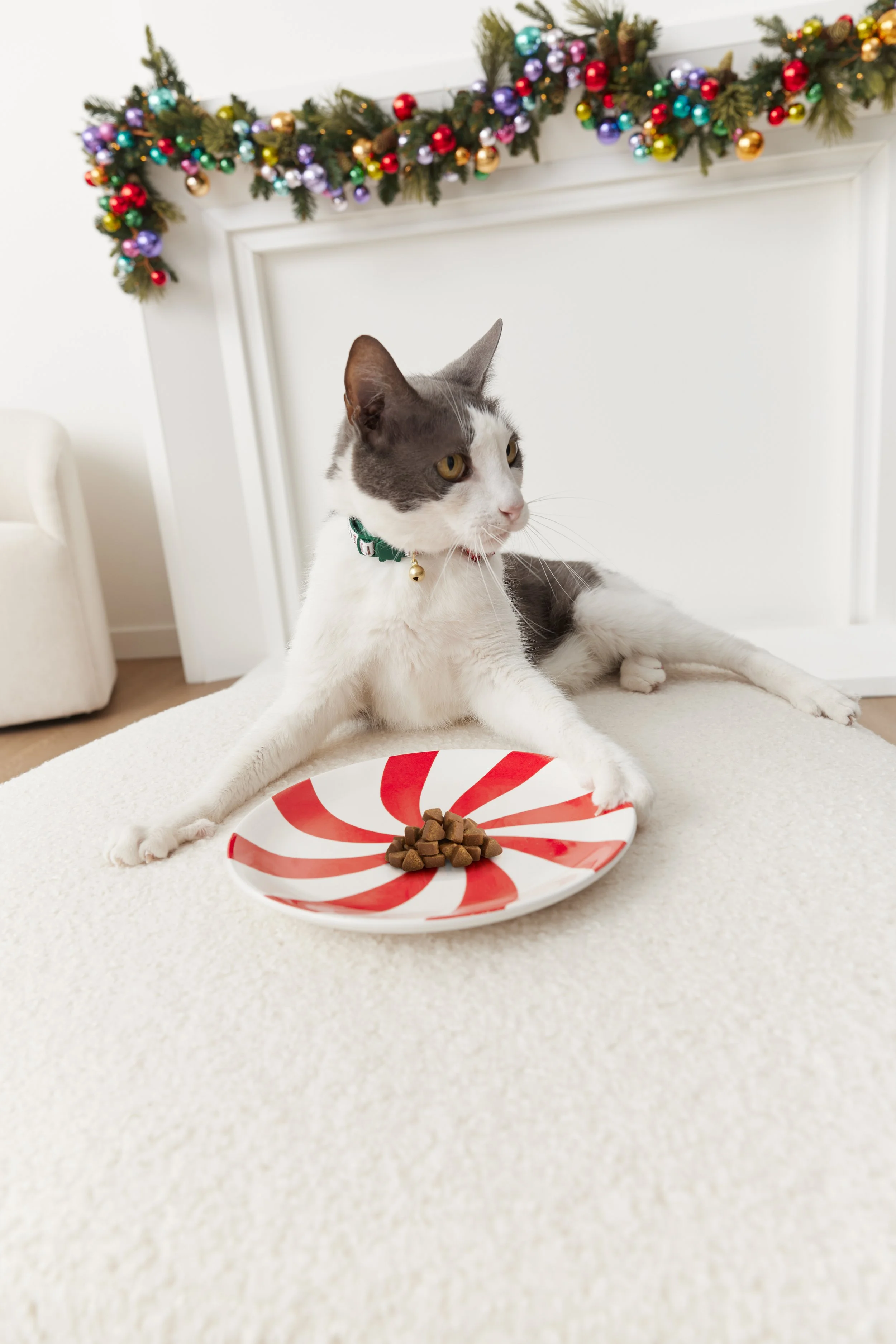Holiday_Store_CatTreats_Rox_0005.jpg