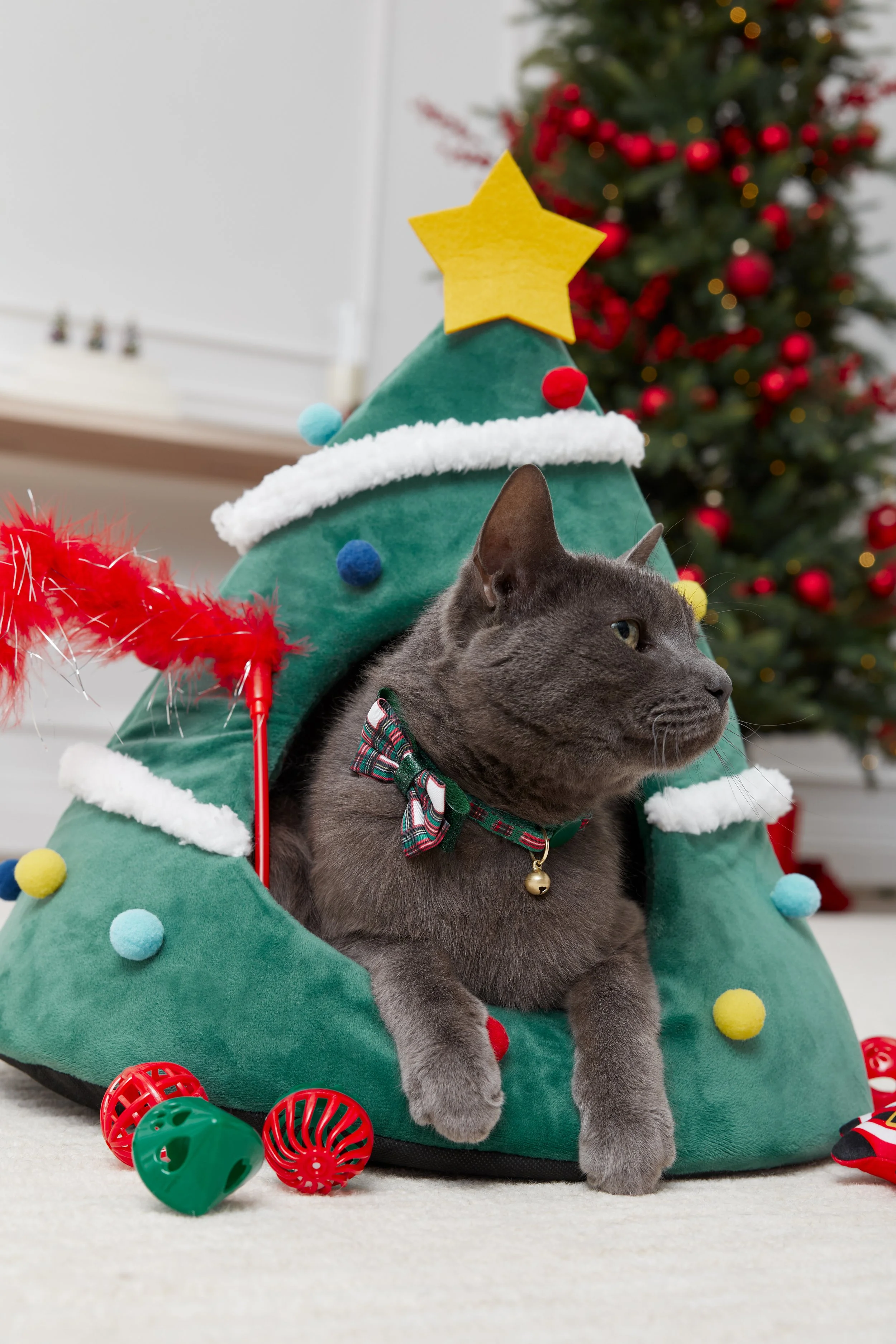 Holiday_Store_CatToys_Merlin_0198.jpg